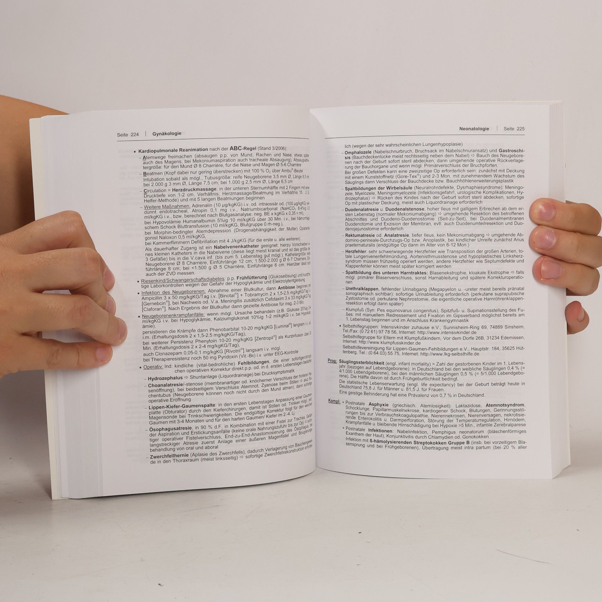Petra Haag Gynäkologie und Urologie für Studium und Praxis. Unter Berücksichtigung des Gegenstanskataloges und der mündlichen Examina in den Ärztlichen Prüfungen - 2010/11