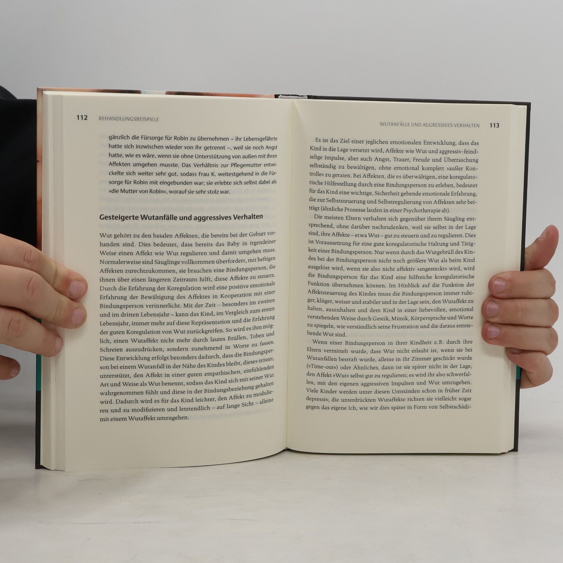 Karl Heinz Brisch Bindungspsychotherapie