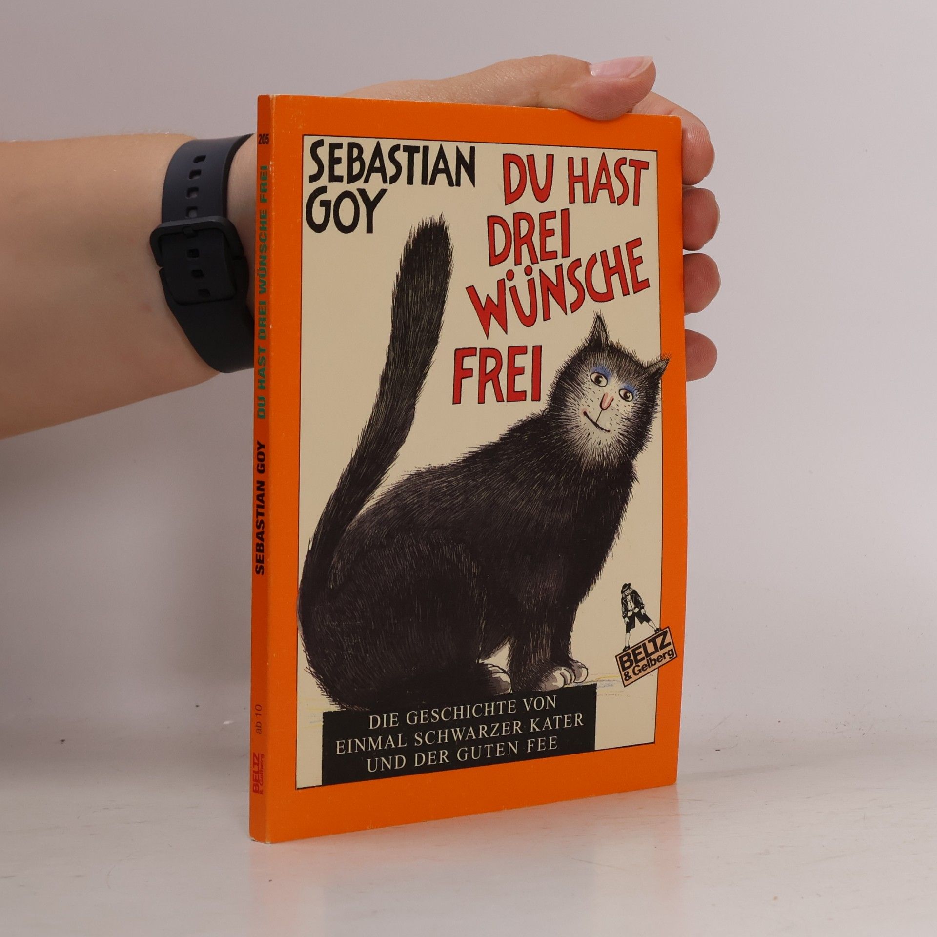 Verena Ballhaus Du hast drei Wünsche frei. Die Geschichte von Einmal Schwarzer Kater und der Guten Fee