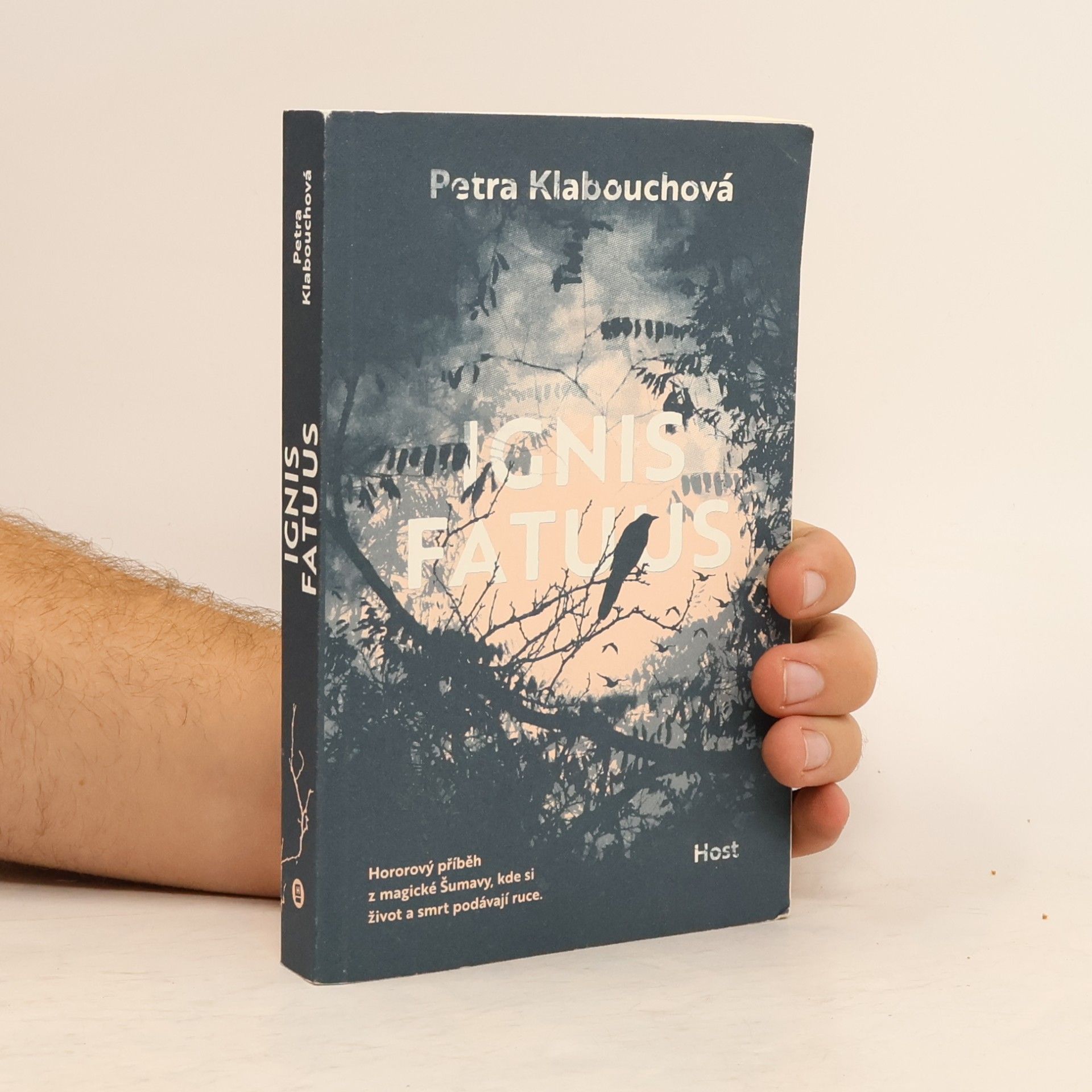 Petra Klabouchová Ignis fatuus