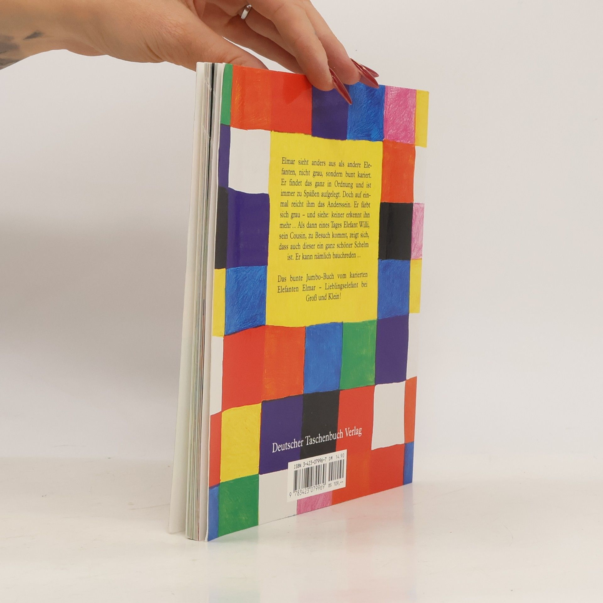 David McKee Das Jumbo-Buch von Elmar und Willi