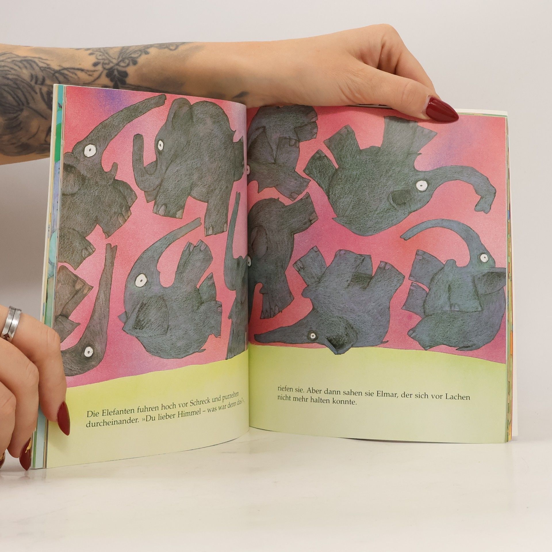 David McKee Das Jumbo-Buch von Elmar und Willi