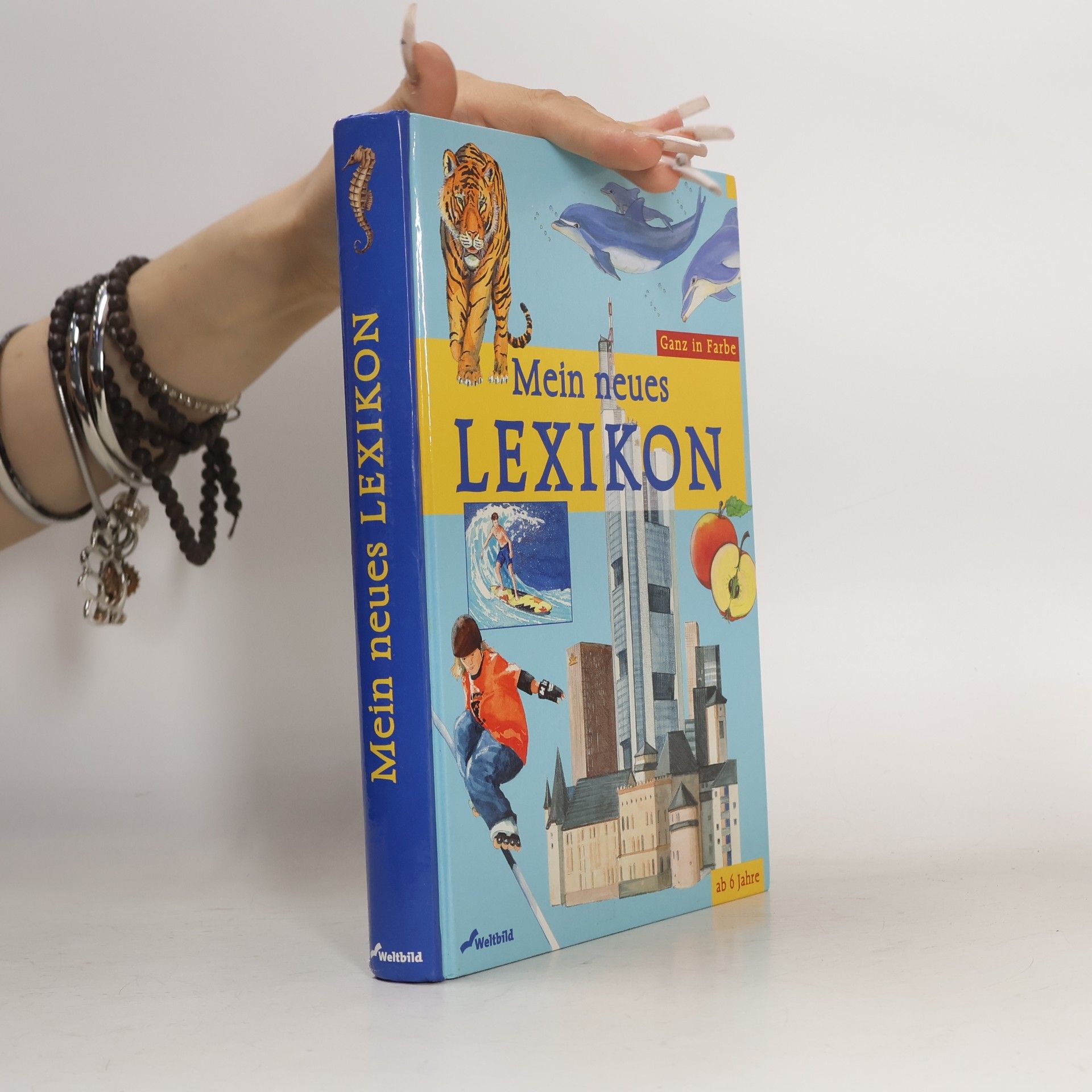 Heidemarie Brosche Mein neues Lexikon