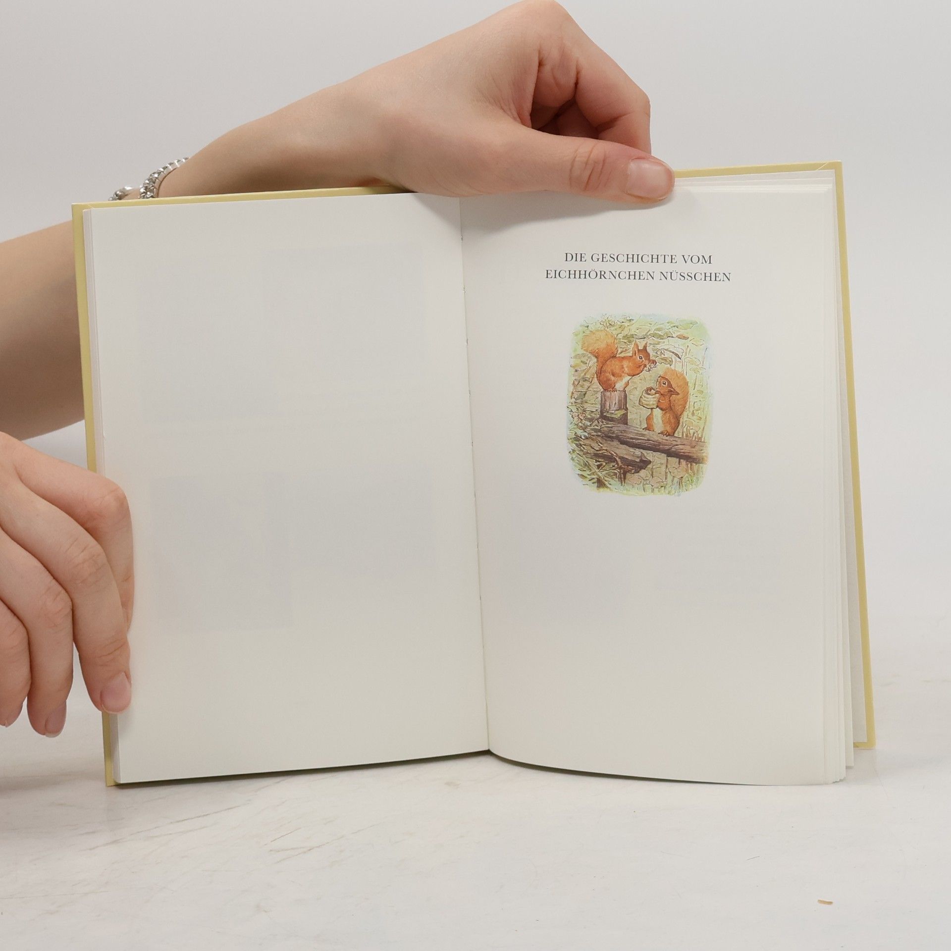 Beatrix Potter Peter Rabbit und seine Freunde
