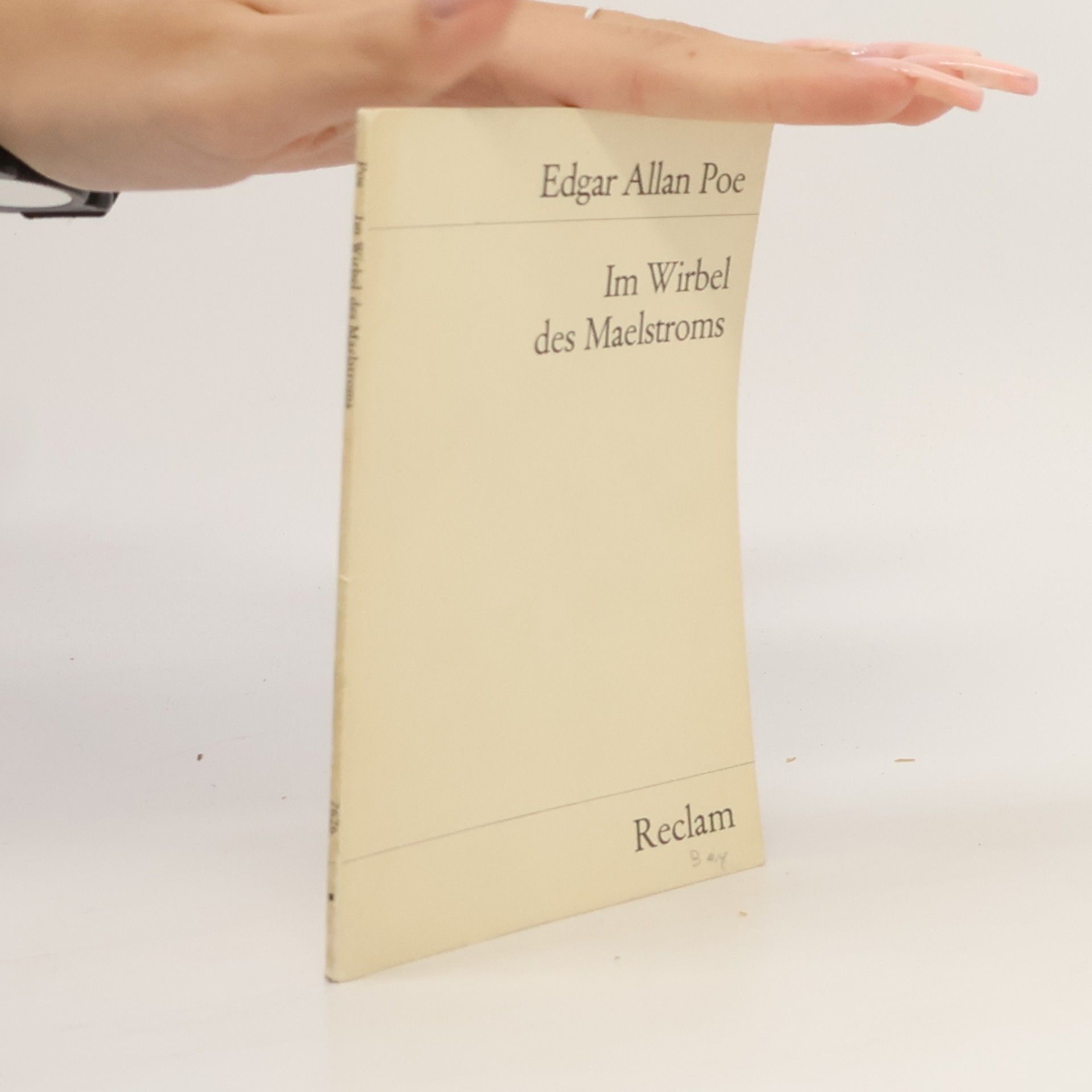 Edgar Allan Poe Im Wirbel des Maelstroms