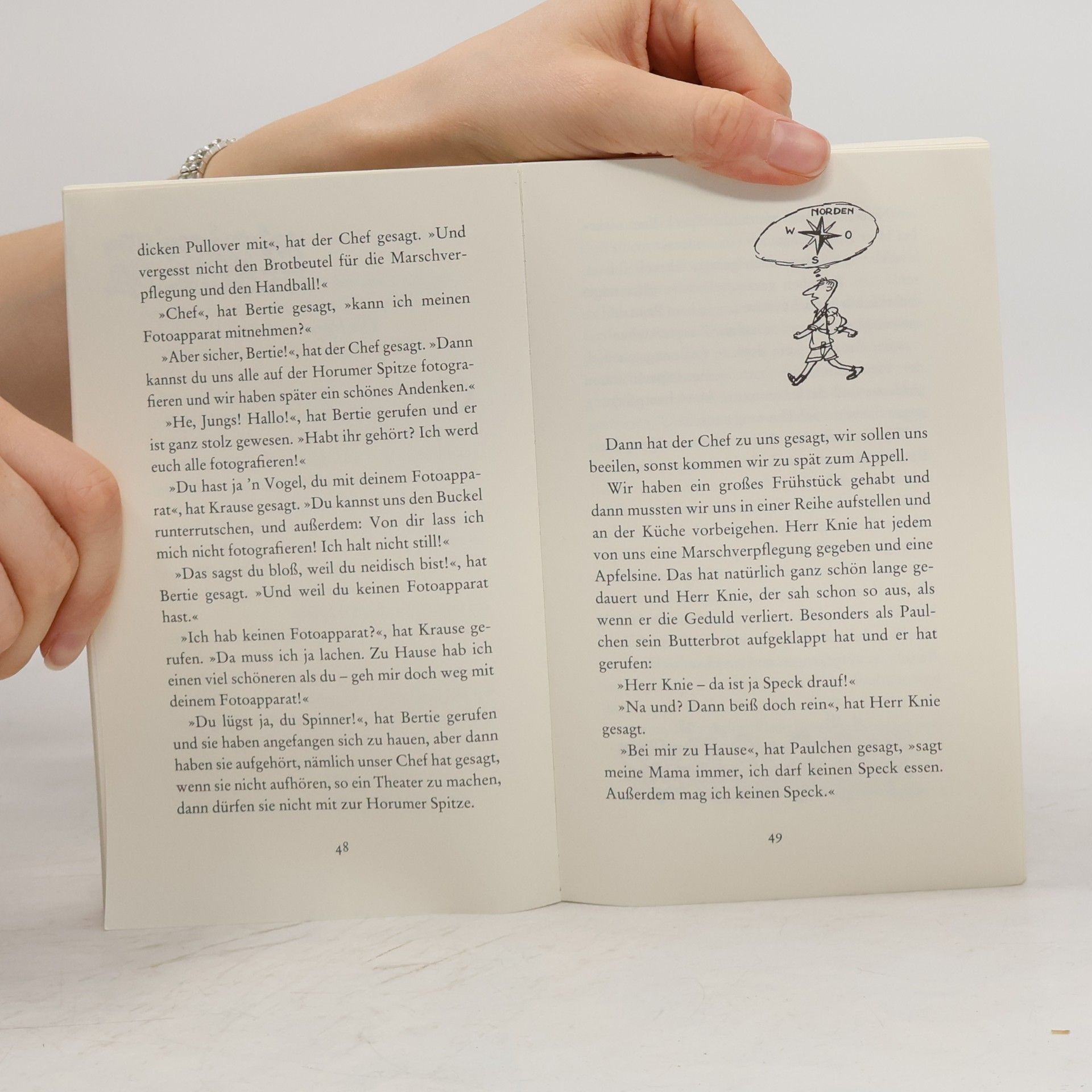 René Goscinny Der kleine Nick und die Ferien