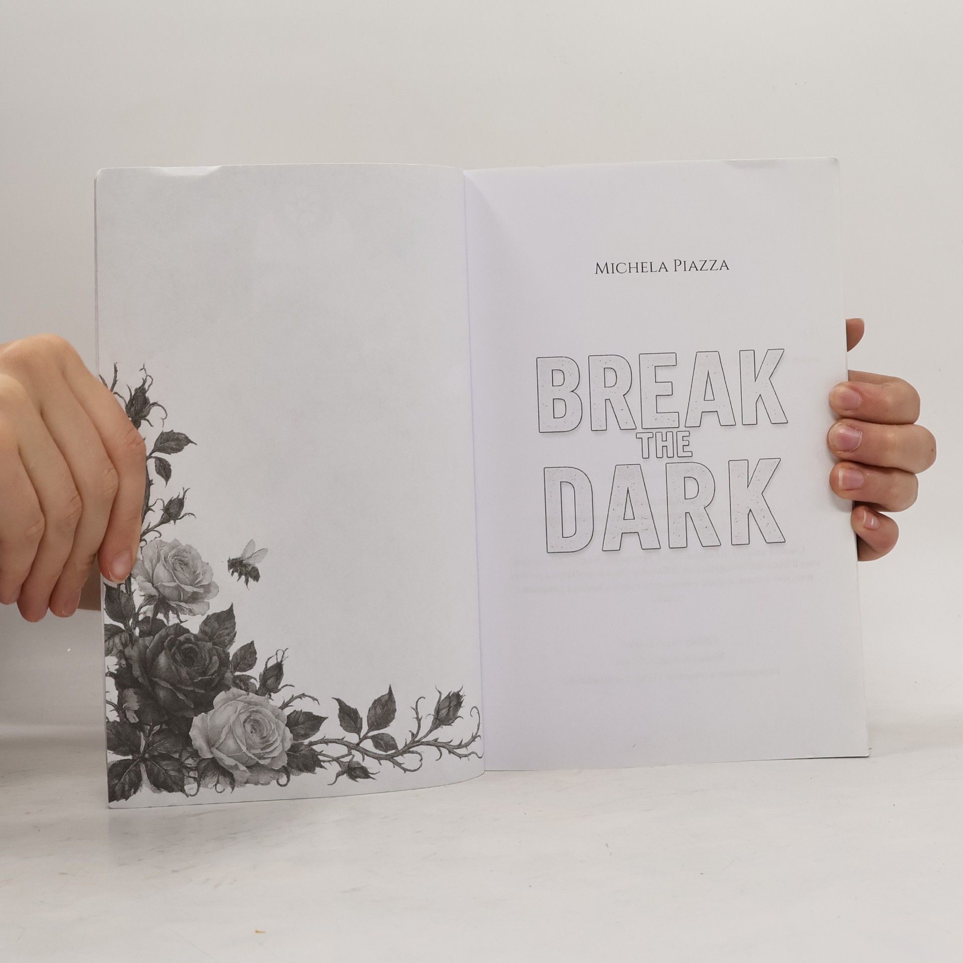 Michela Piazza Winters University Series - 2: Break The Dark
