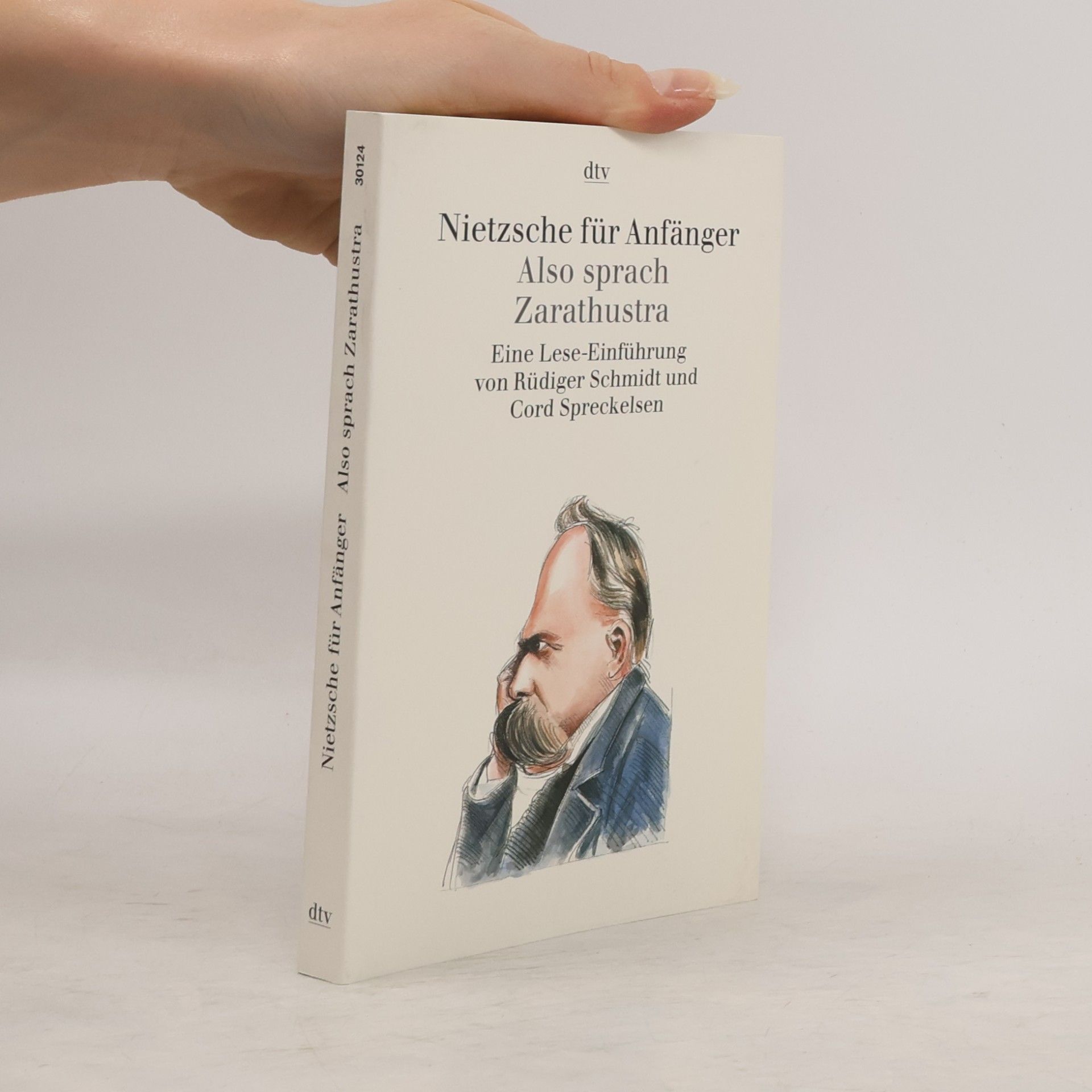 Nietzsche für Anfänger : Also sprach Zarathustra : eine Lese-Einführung