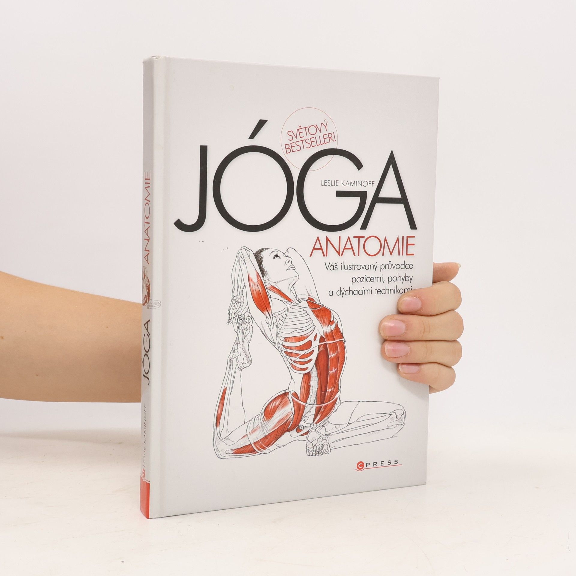 Leslie Kaminoff Jóga - anatomie