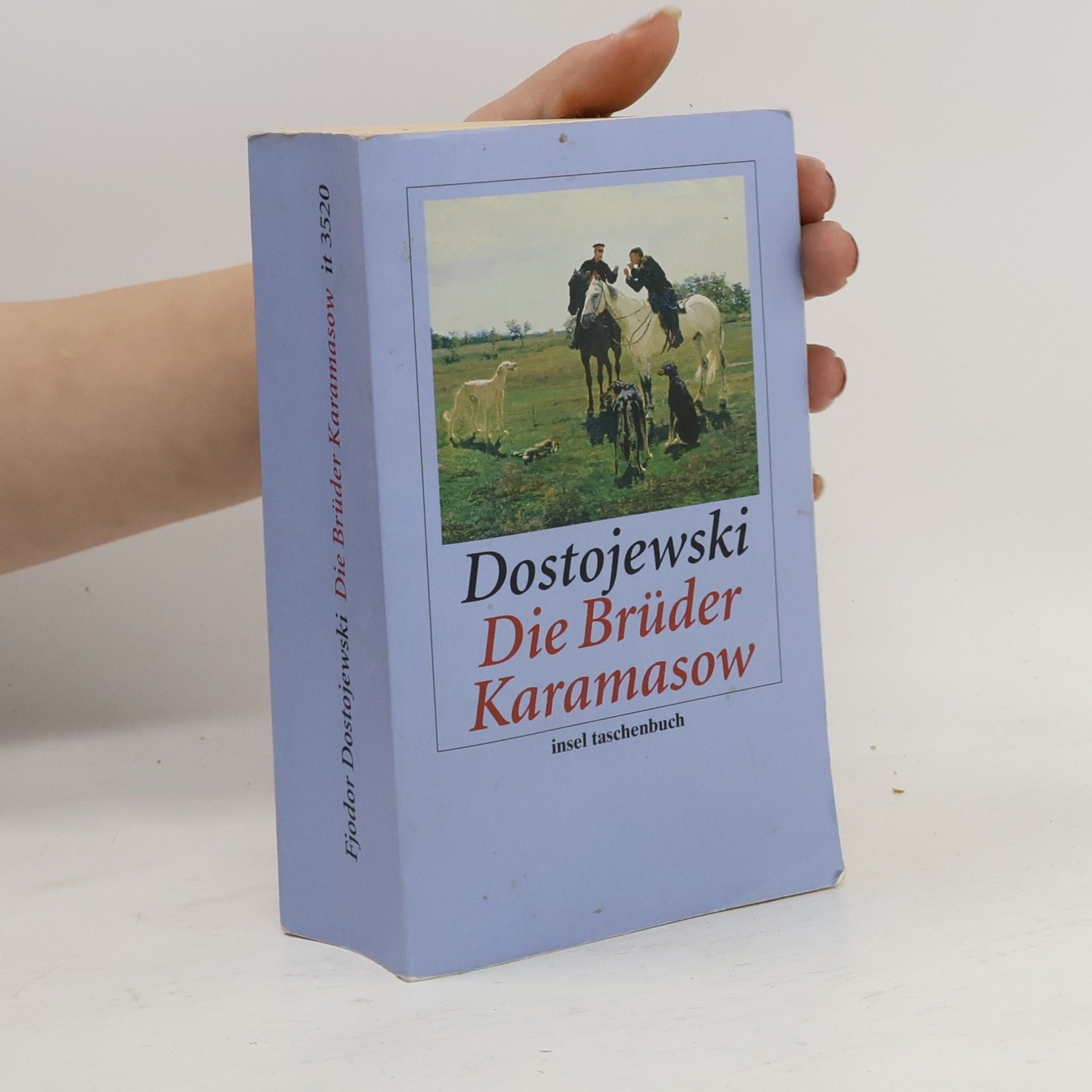 Insel Taschenbuch: Die Brüder Karamasow