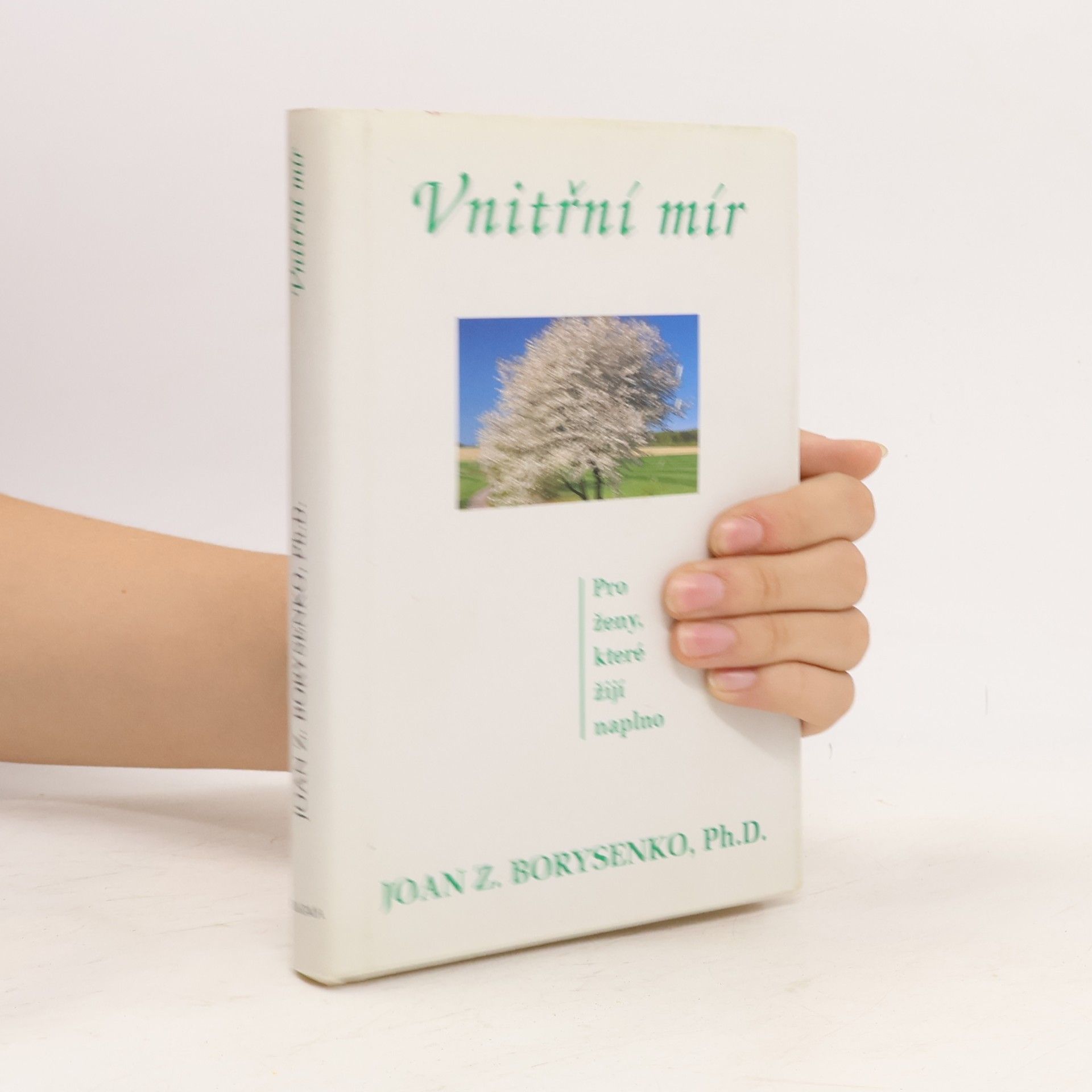 Joan Borysenko Vnitřní mír