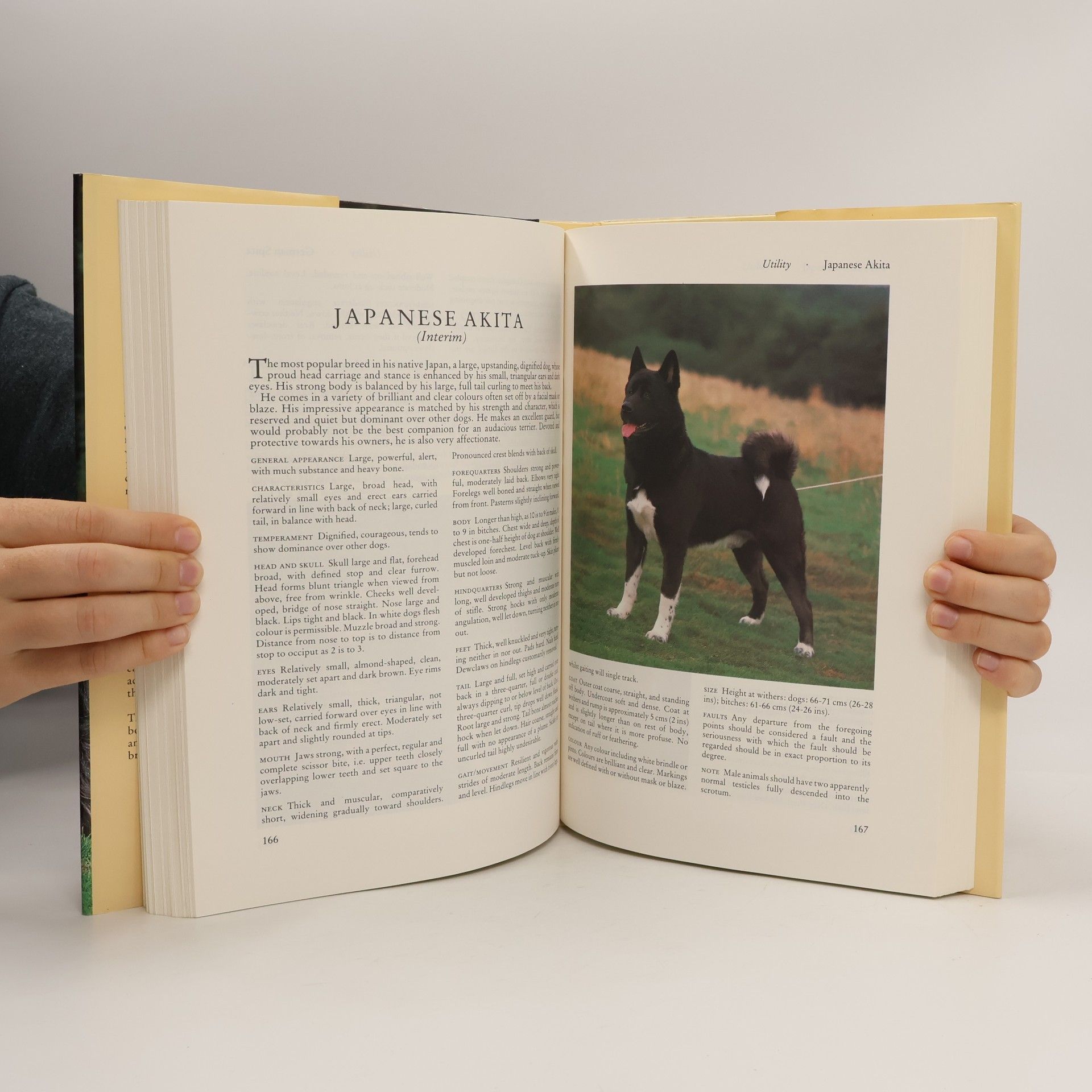 Kennel Club The Kennel Club's Illustrated Breed Standards