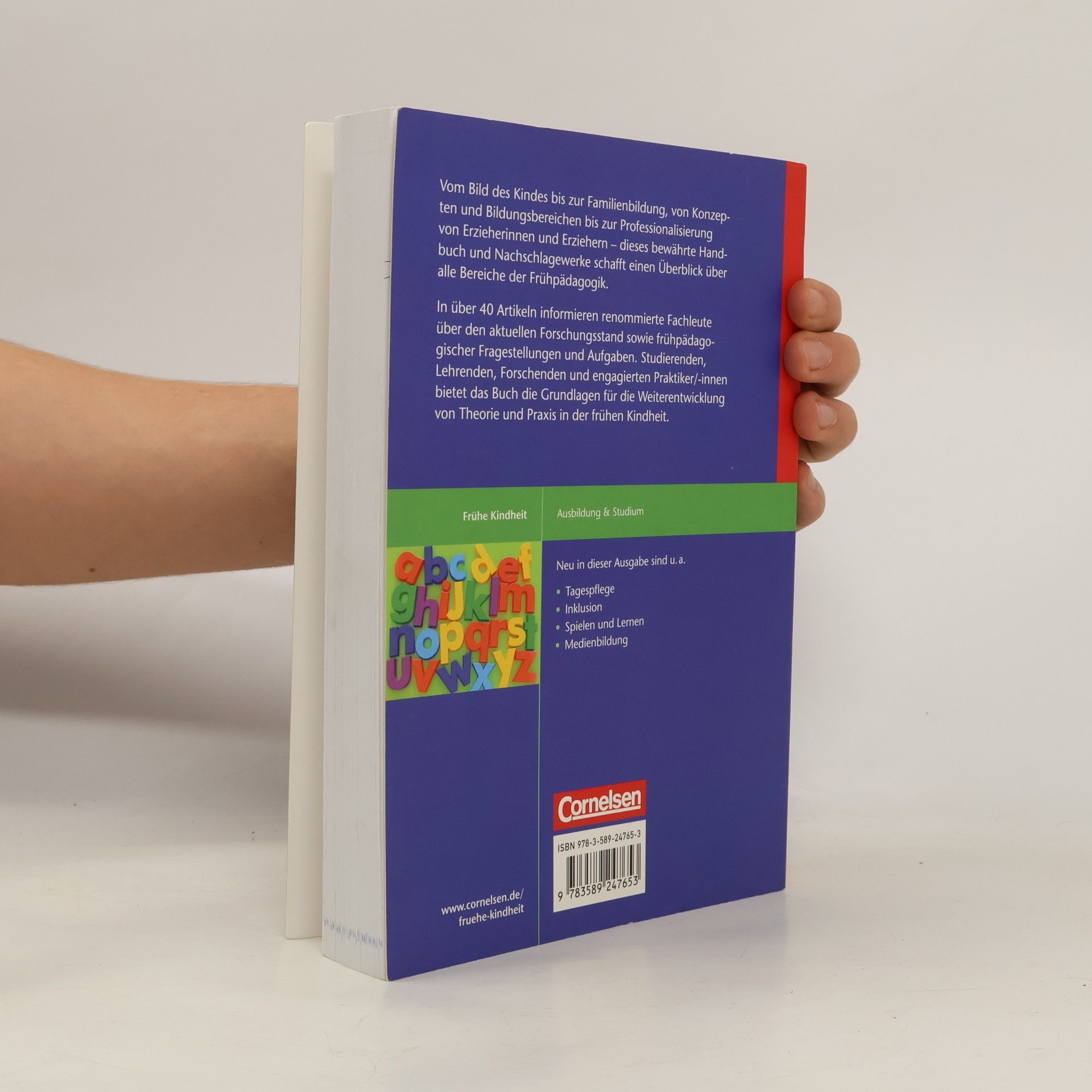 Lilian Fried Handbuch Pädagogik der frühen Kindheit (3., überarbeitete und erweiterte Auflage)