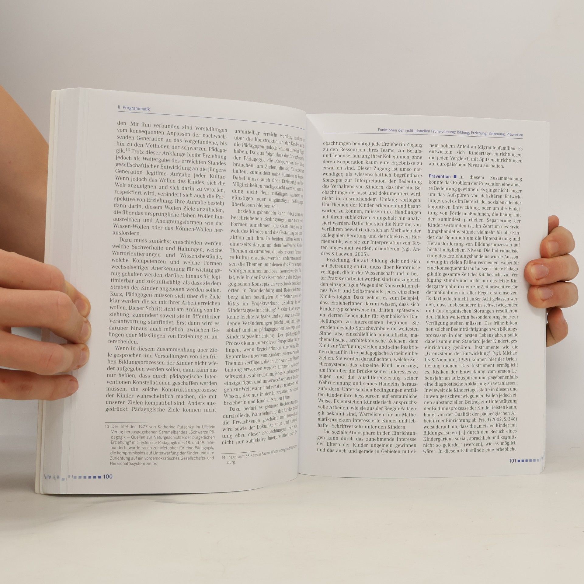 Lilian Fried Handbuch Pädagogik der frühen Kindheit (3., überarbeitete und erweiterte Auflage)