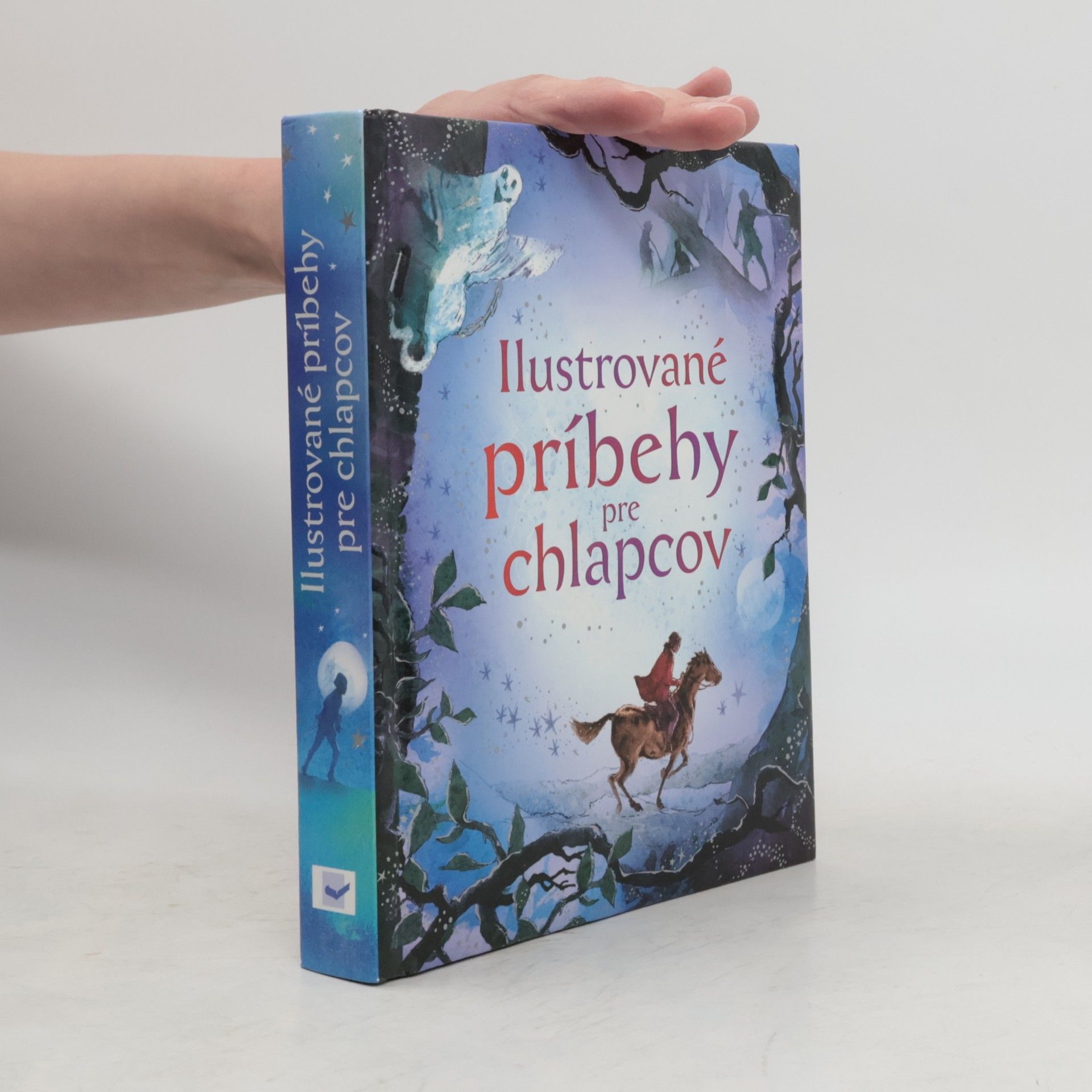 Collectif d'auteurs Ilustrované príbehy pre chlapcov