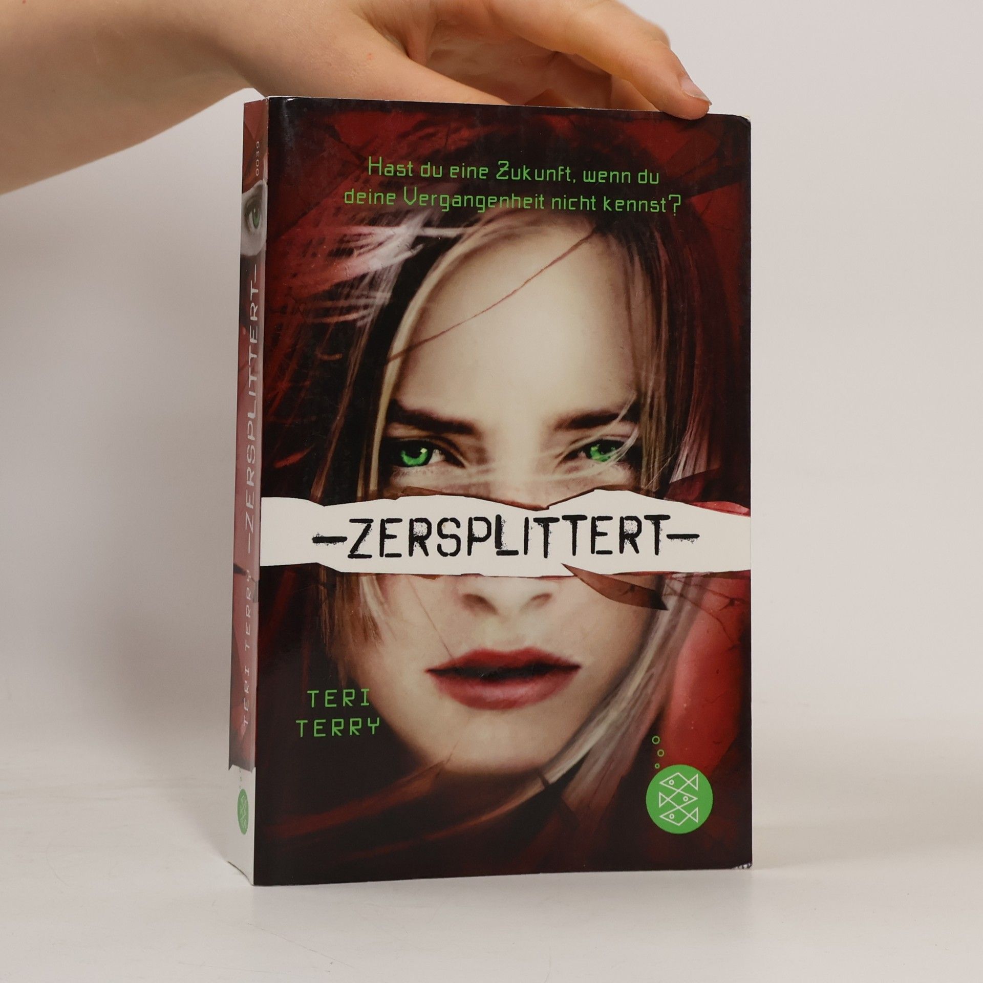 Teri Terry Zersplittert