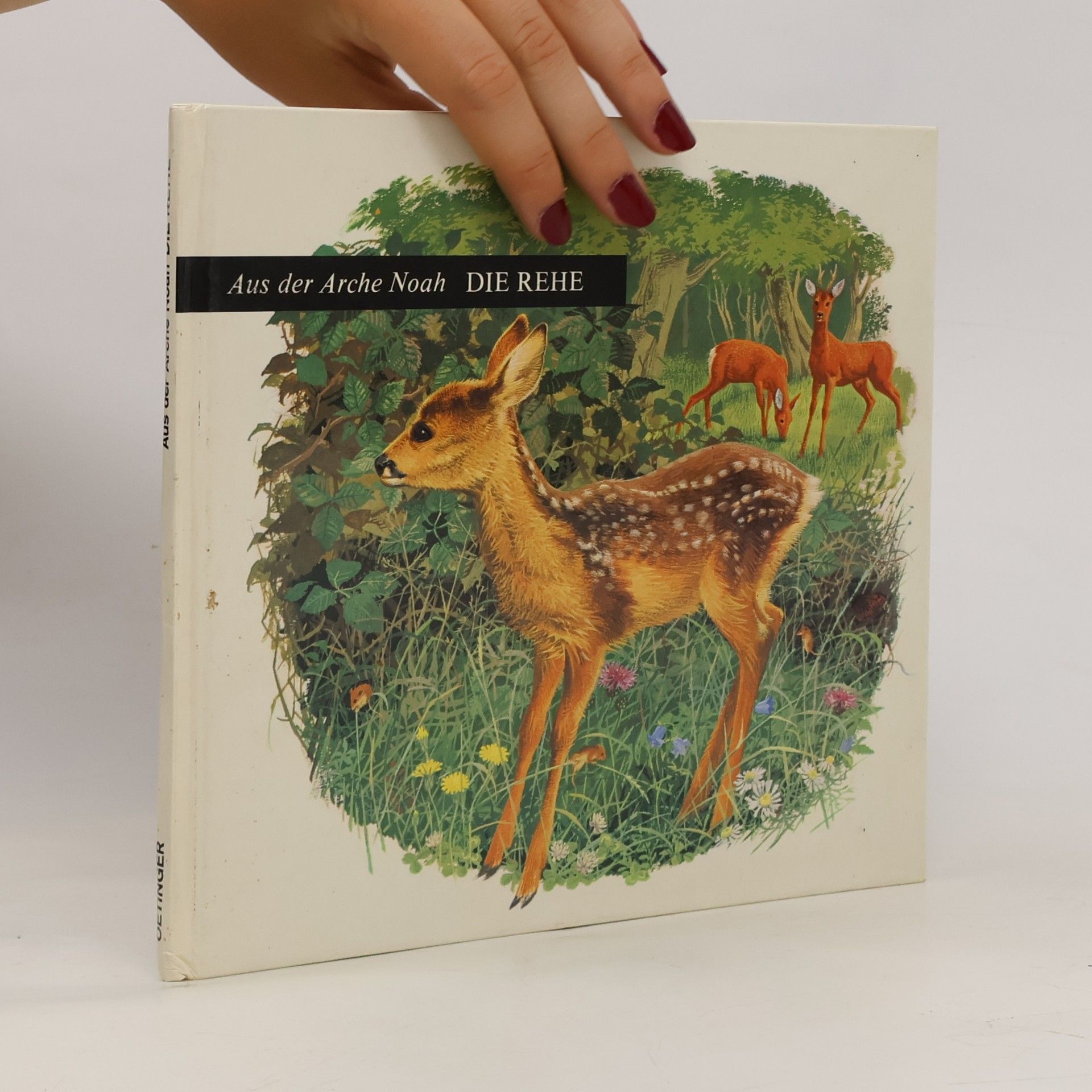 kolektiv Die Rehe