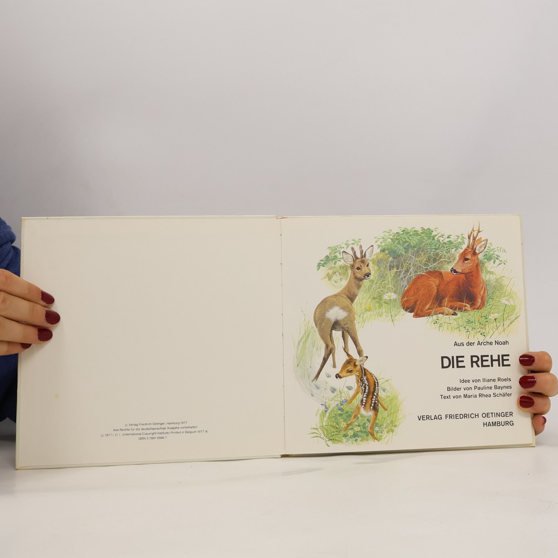 Die Rehe
