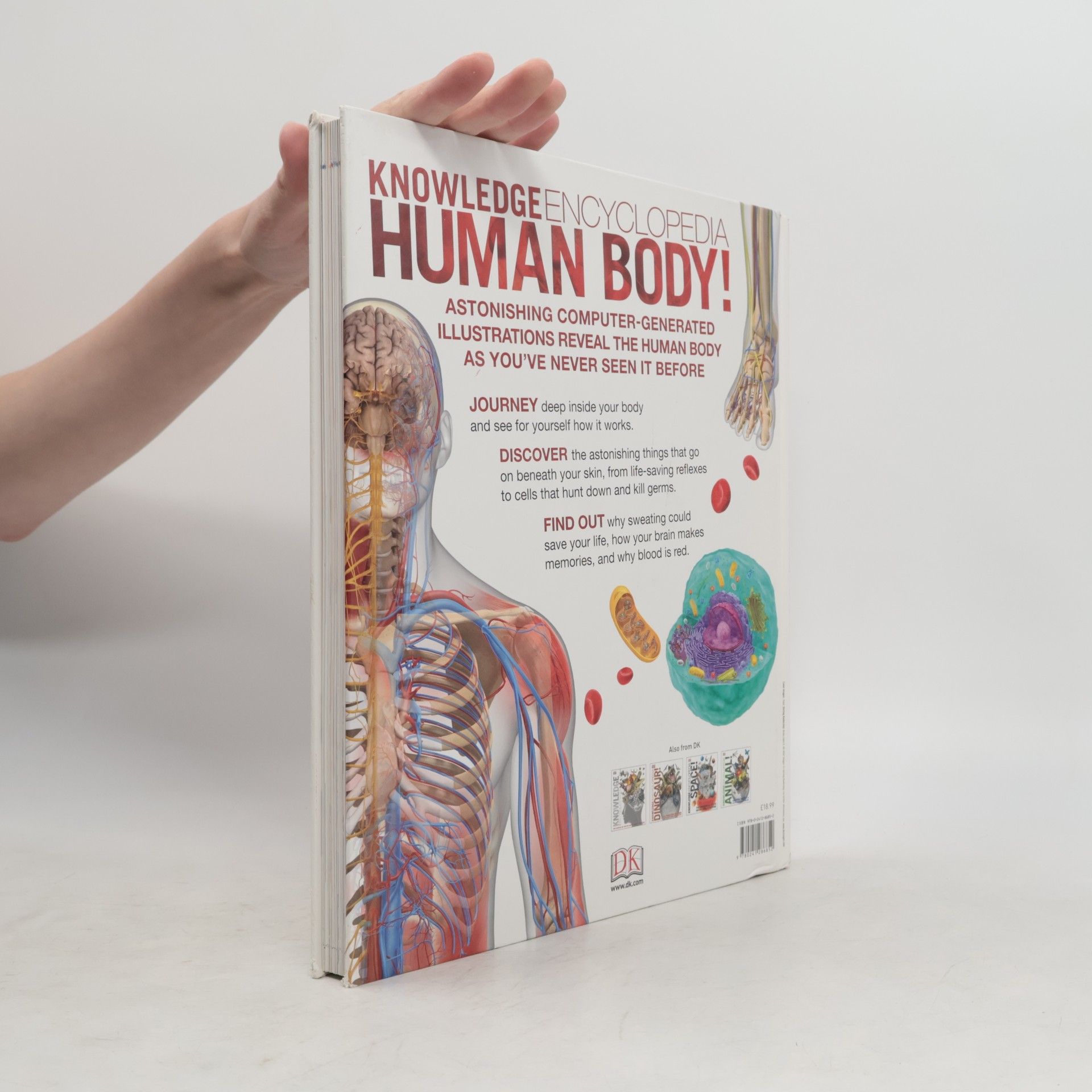 Autorenkollektiv Knowledge Encyclopedia : Human Body!