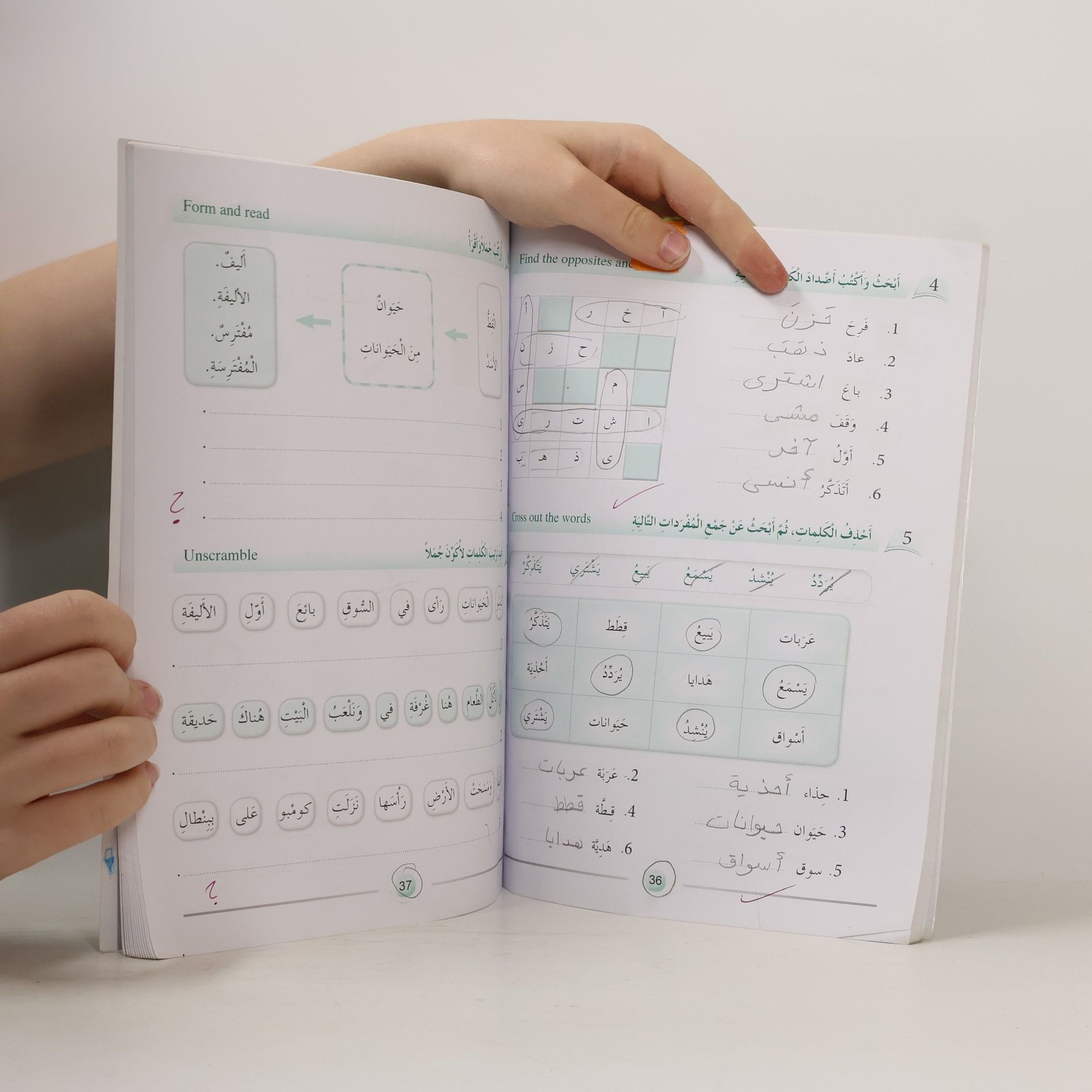 kolektiv أصدقاء العربية 2
