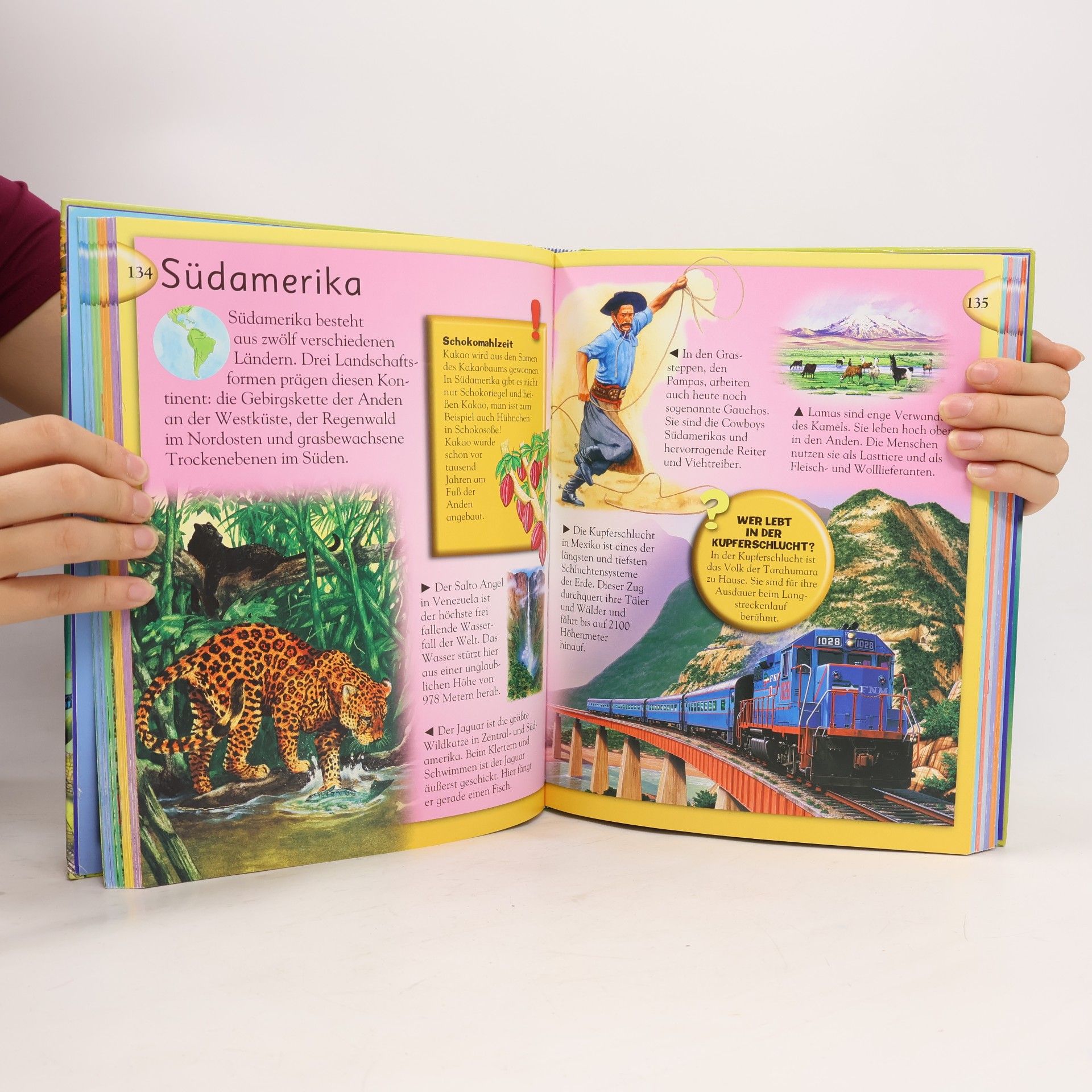 Miranda Smith Das grosse Kinderlexikon