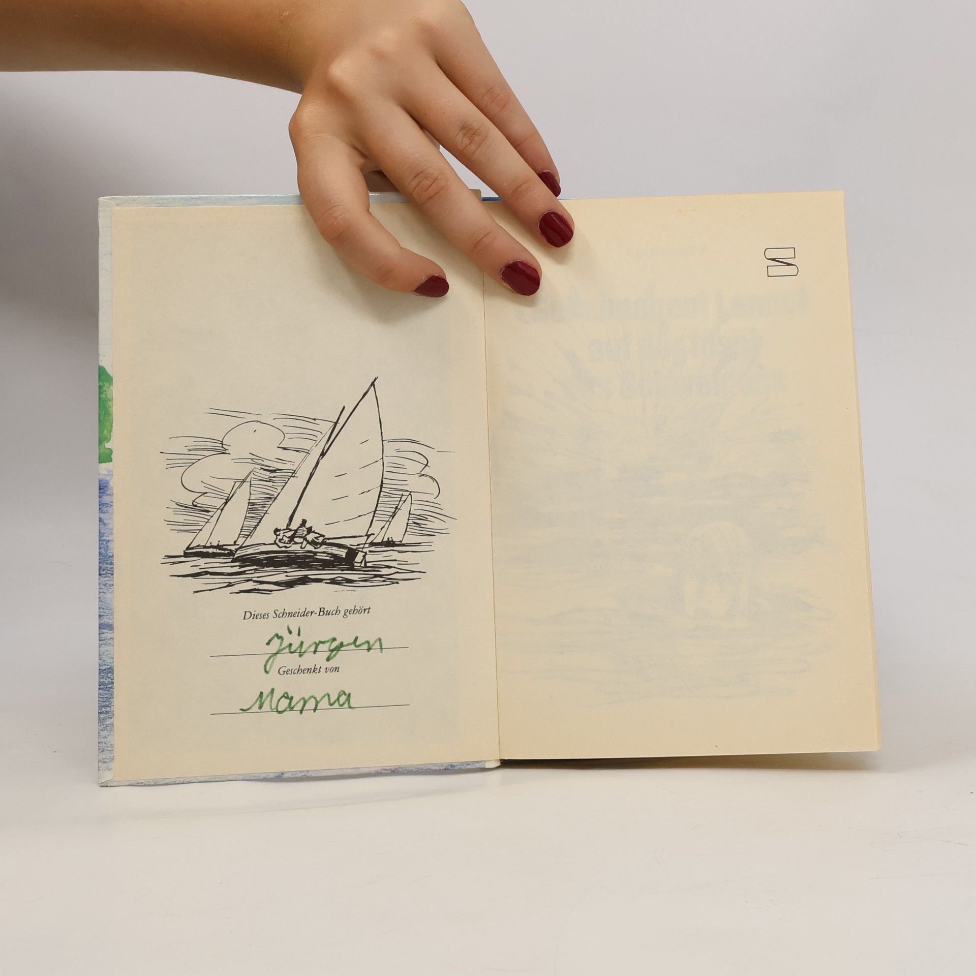 Autorenkollektiv Geheimagent Lennet auf der Insel des Schweigens