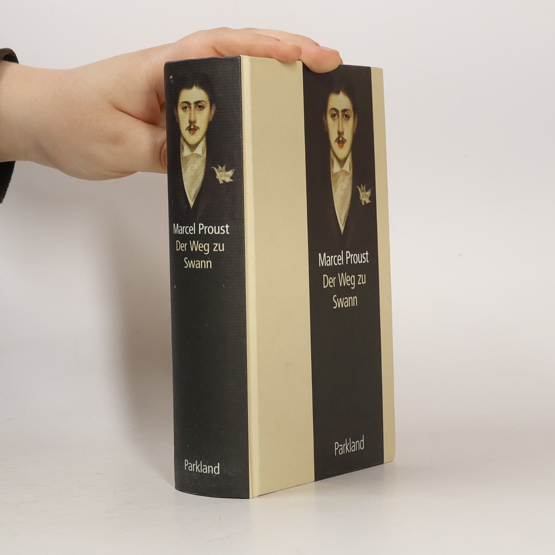 Marcel Proust Der Weg zu Swann