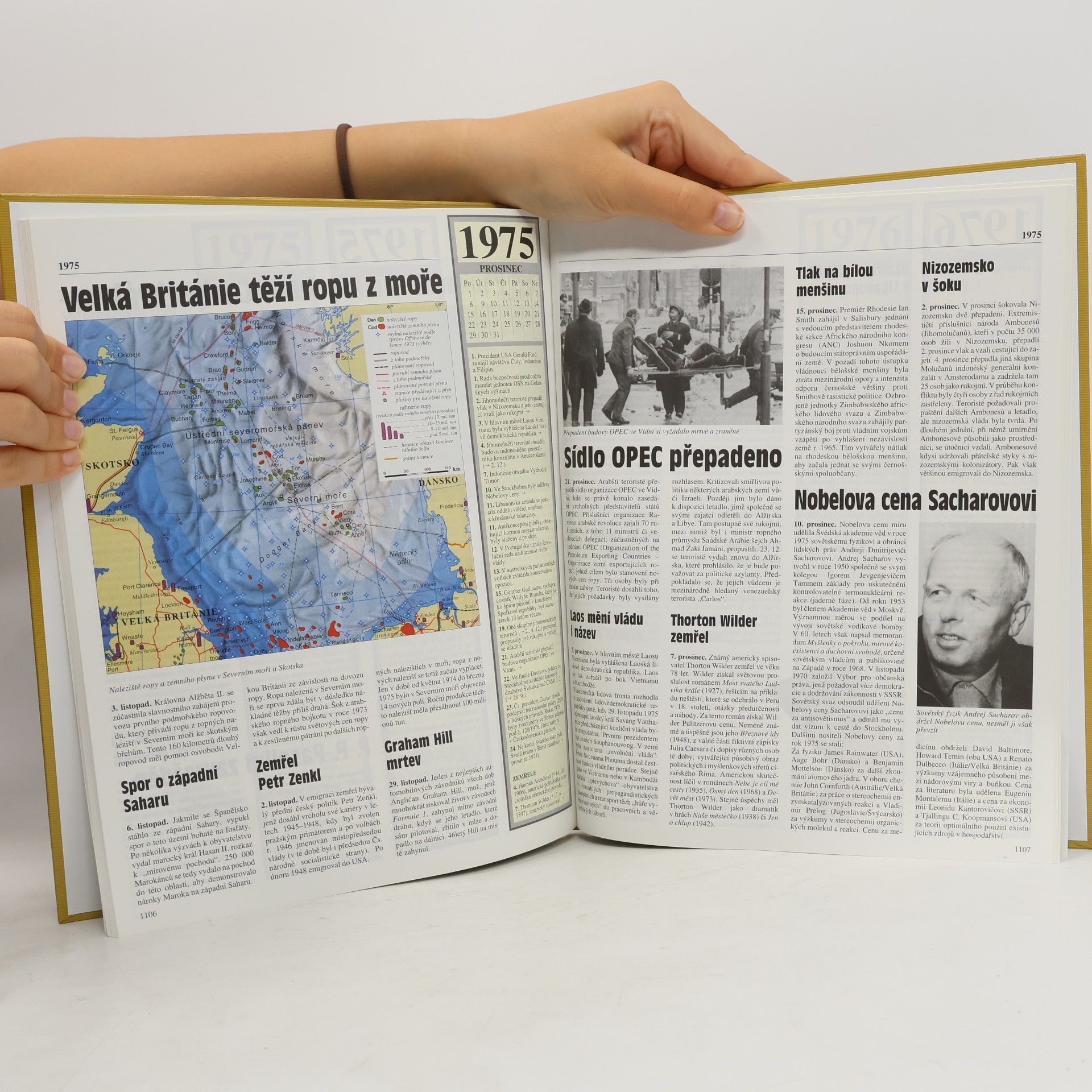 kolektiv Kronika 20. století 8. 1970-1979