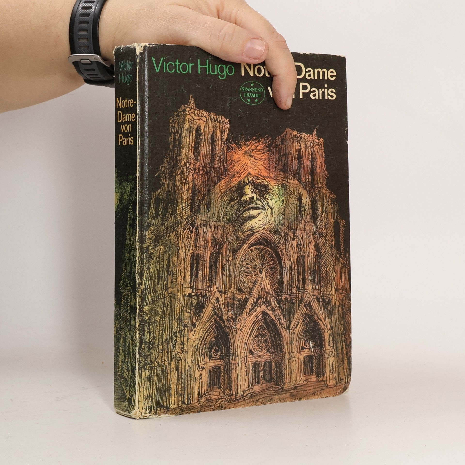 Victor Hugo Notre-Dame von Paris