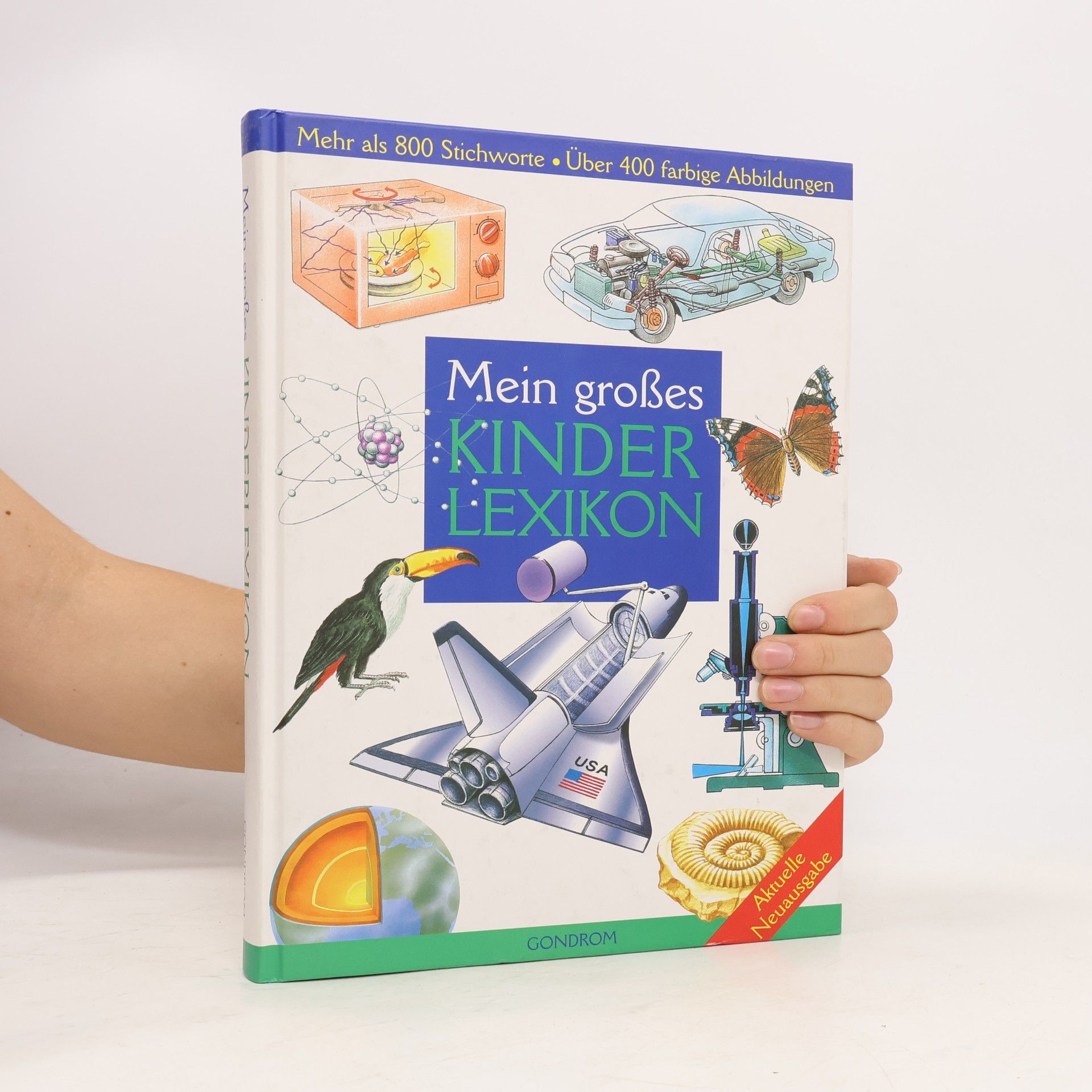Kolektiv autorů Mein großes Kinderlexikon
