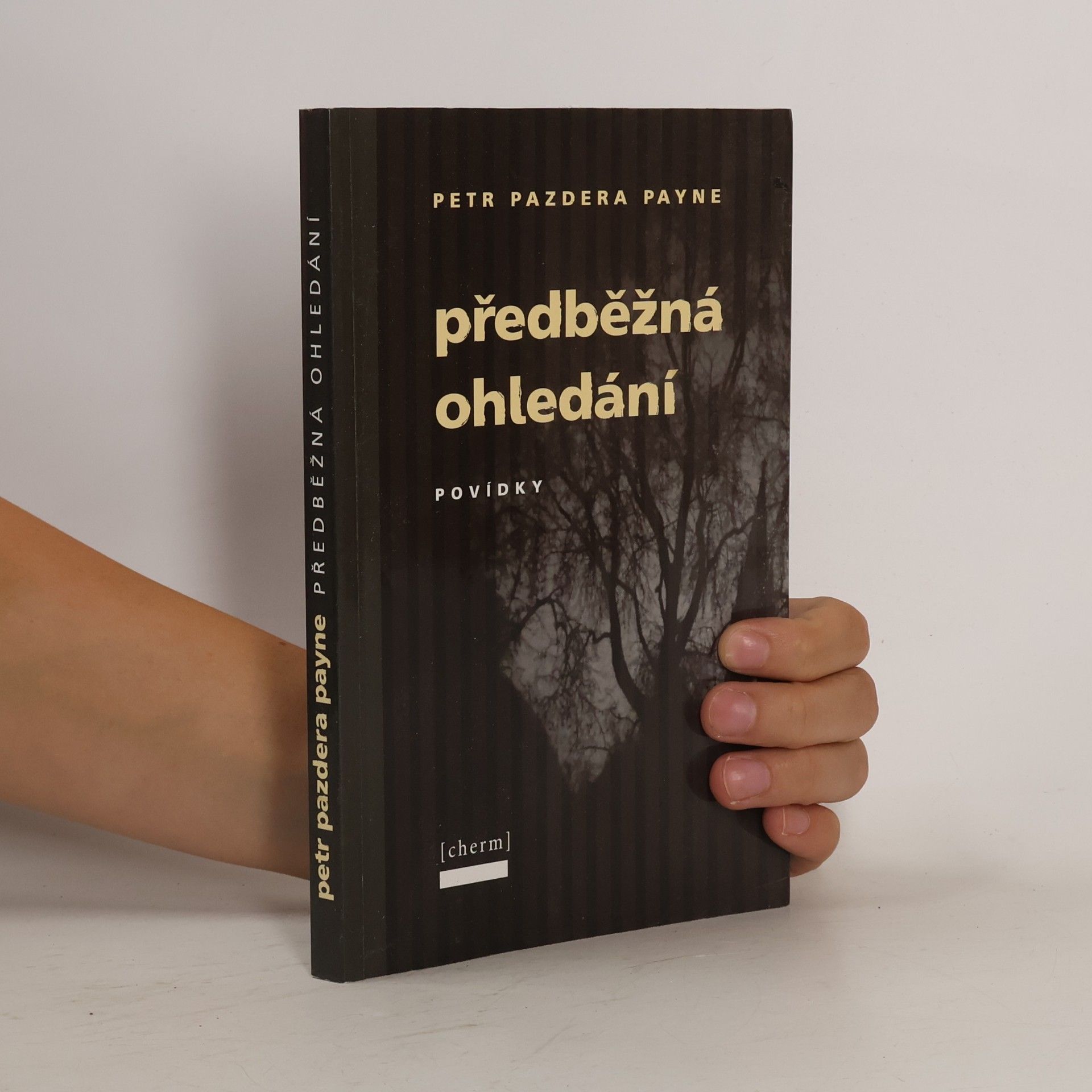 Předběžná ohledání
