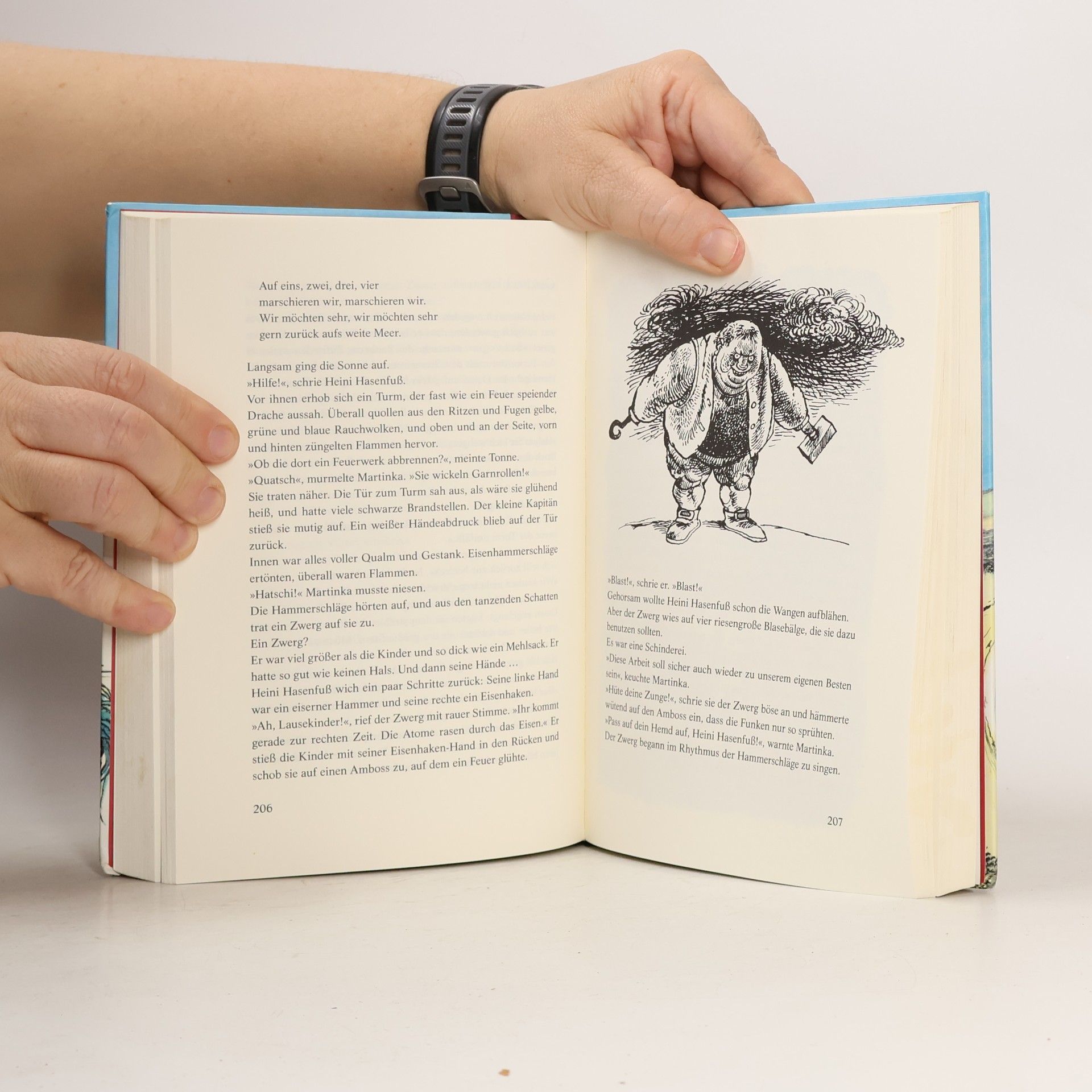 Paul Biegel Das grosse Buch vom kleinen Kapitän