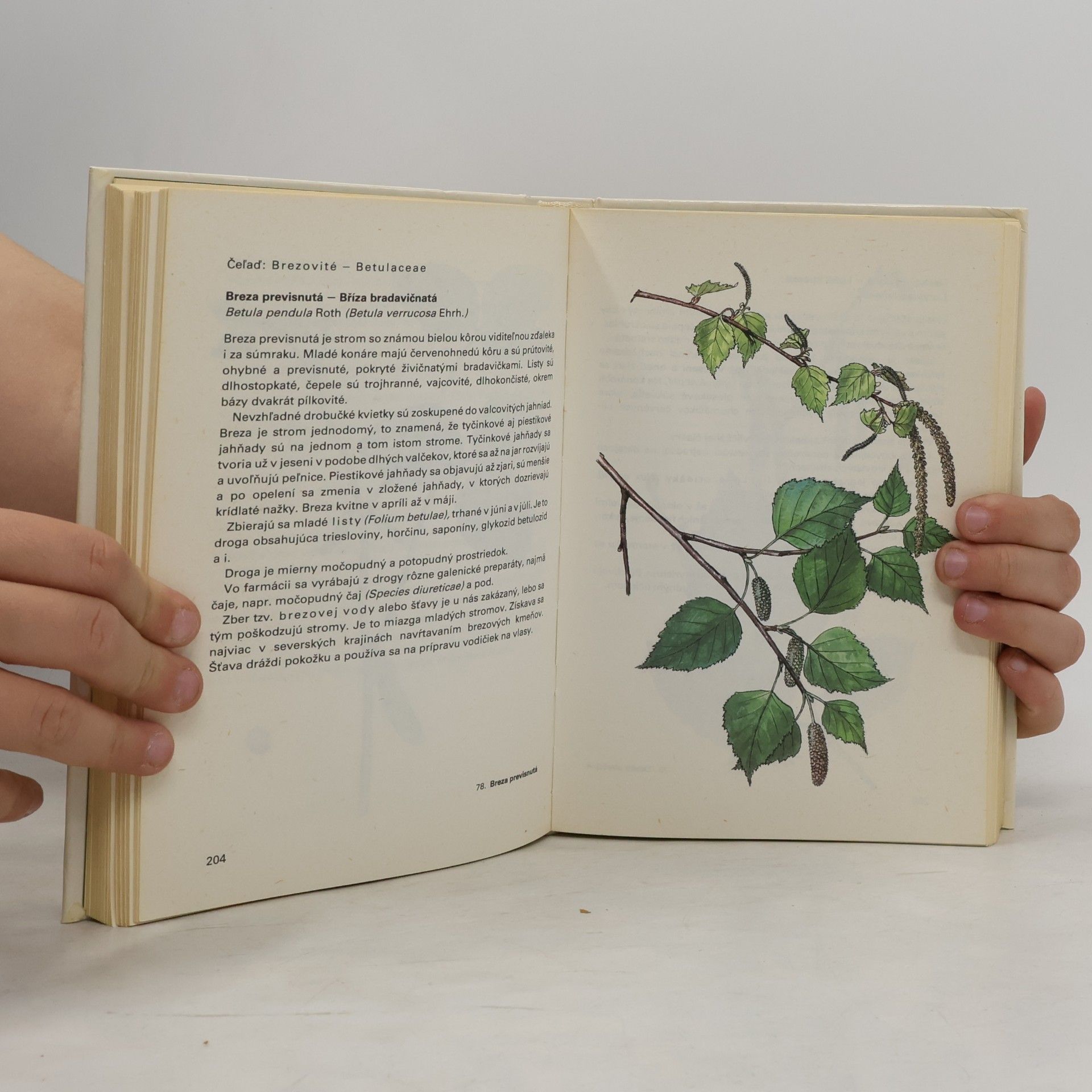 Jan Macků Atlas liečivých rastlín
