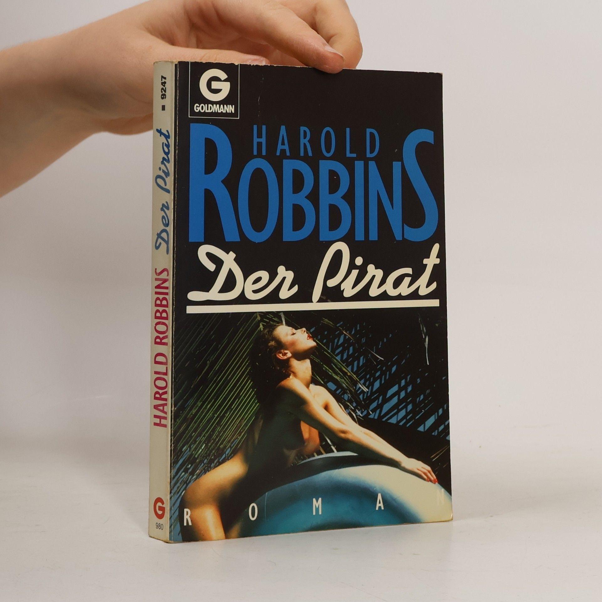 Harold Robbins Der Pirat