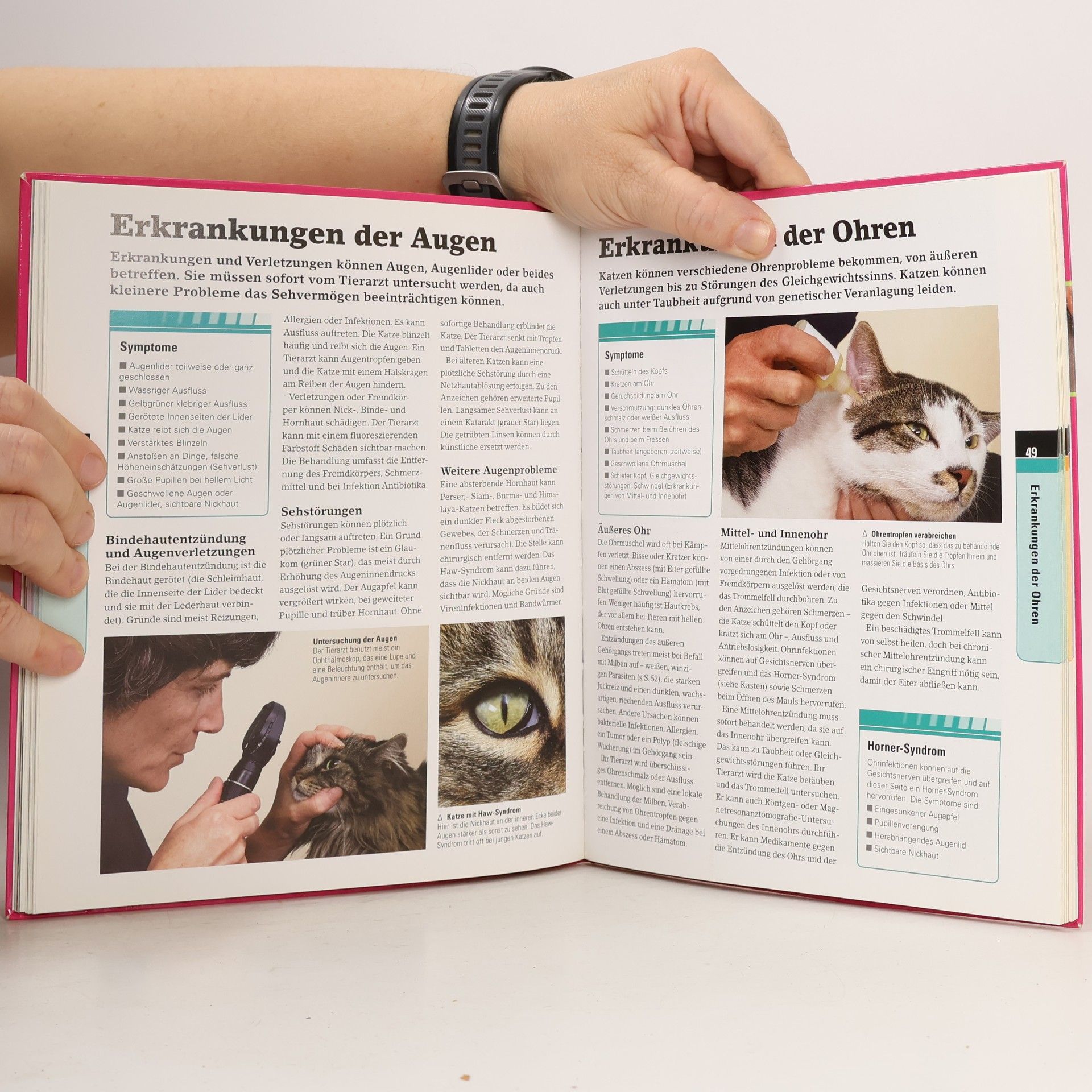 Gary Ombler Alles für die Katz'