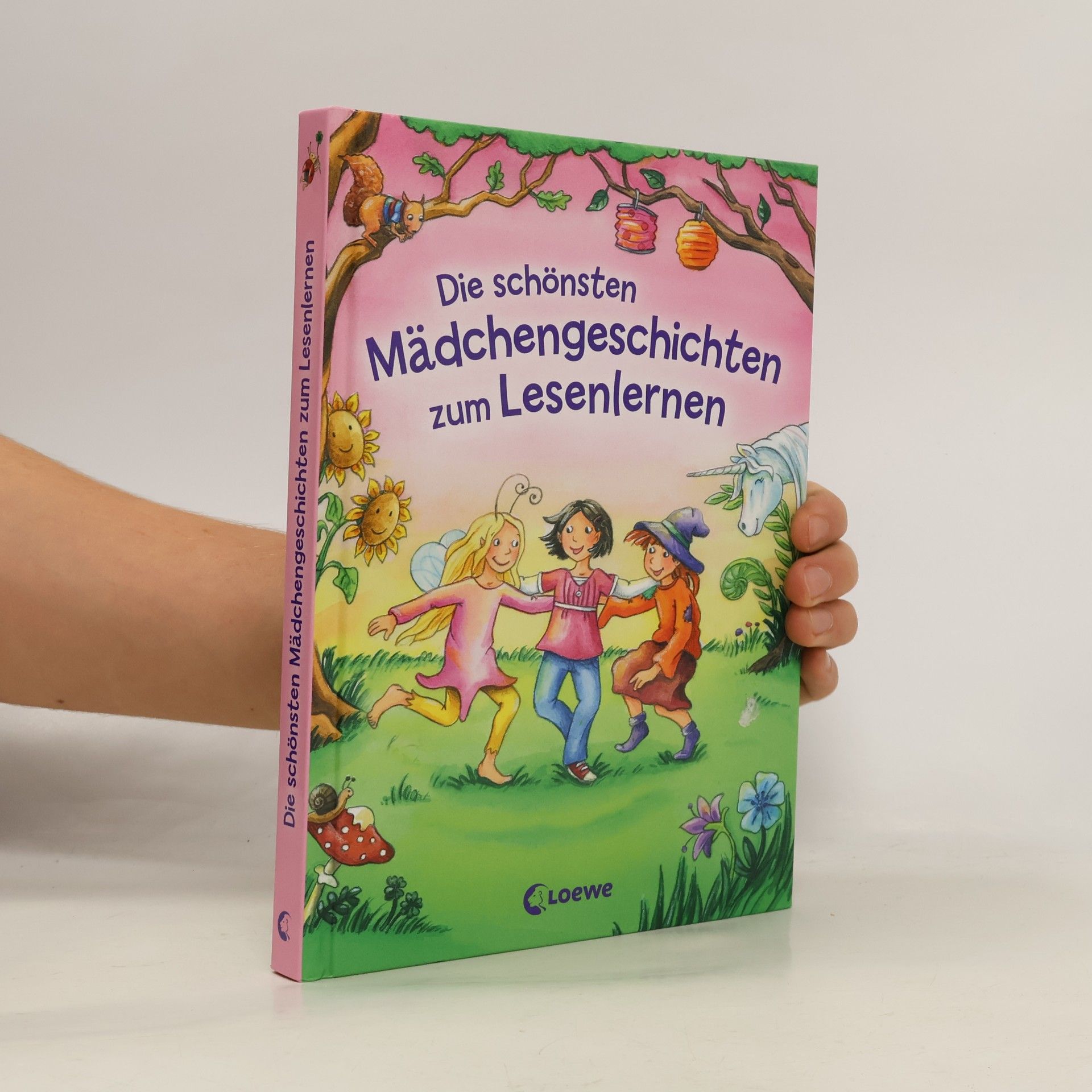 Collectif d'auteurs Die schönsten Mädchengeschichten zum Lesenlernen