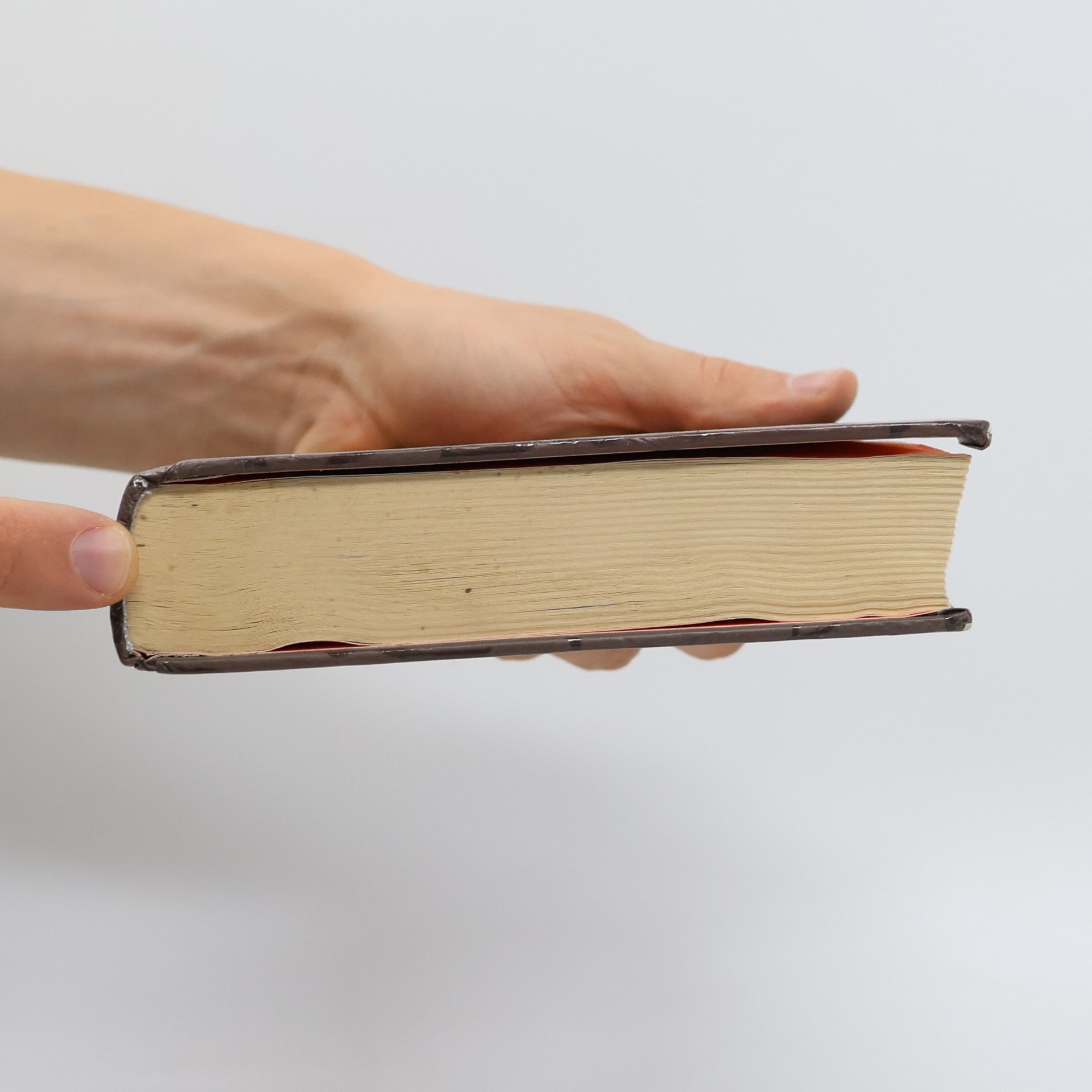 Maureen Johnson Skrýš v lese