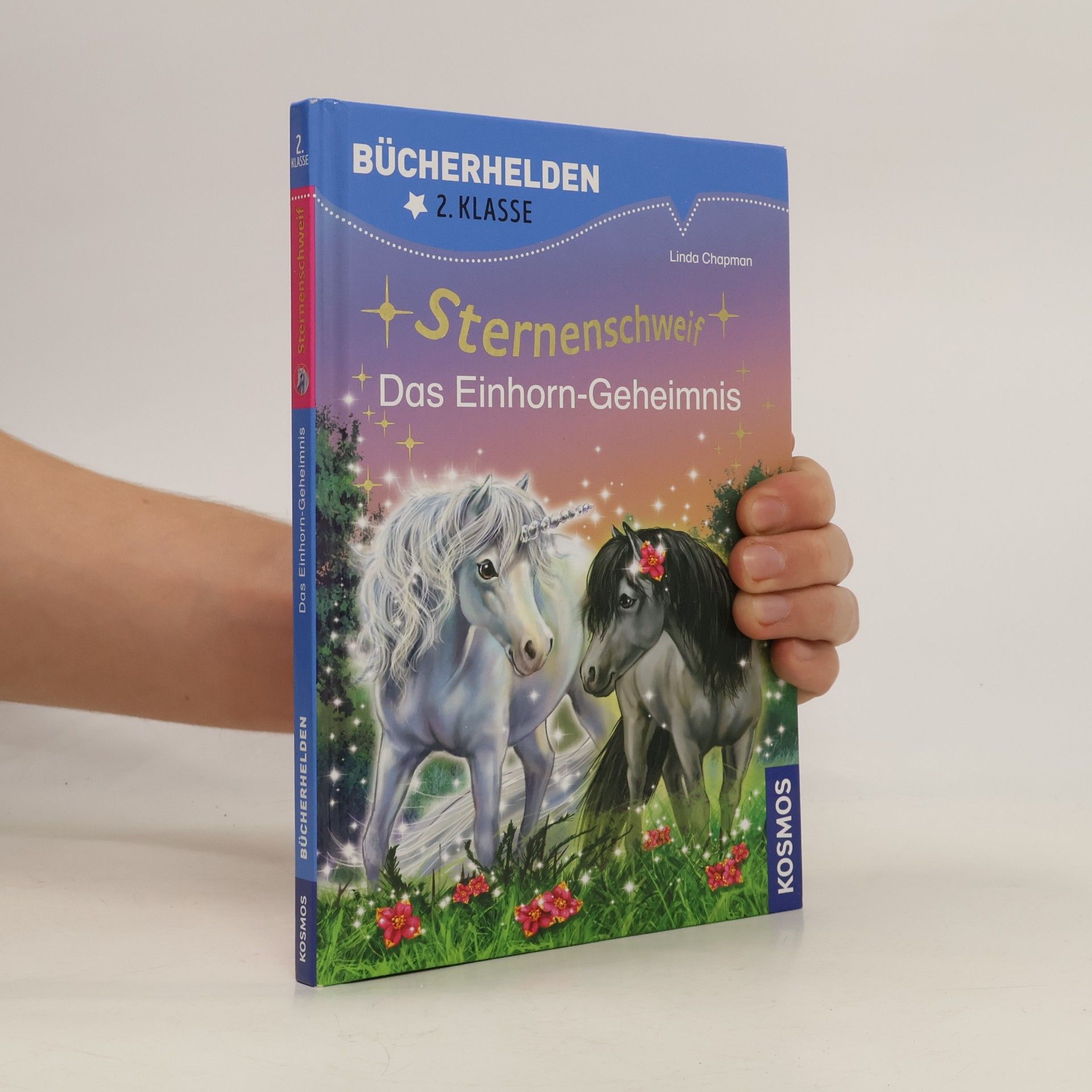 Linda Champan Sternenschweif - das Einhorn-Geheimnis