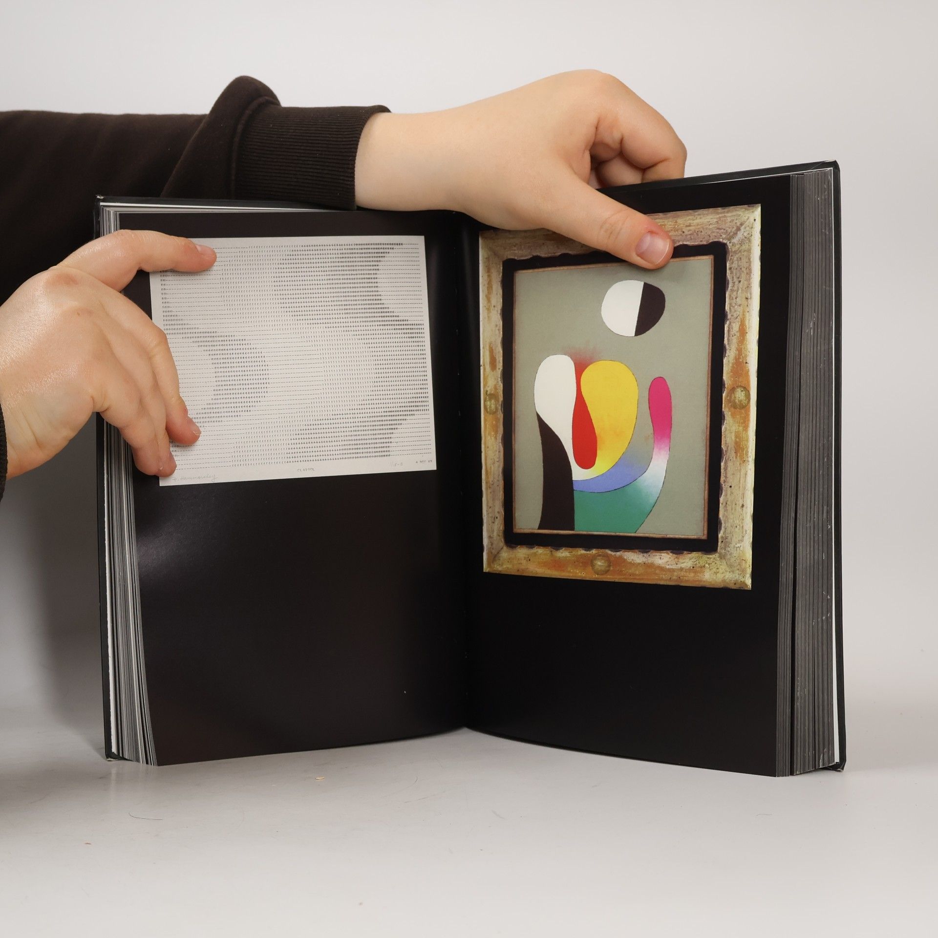 Maurizio Cattelan Charley 05