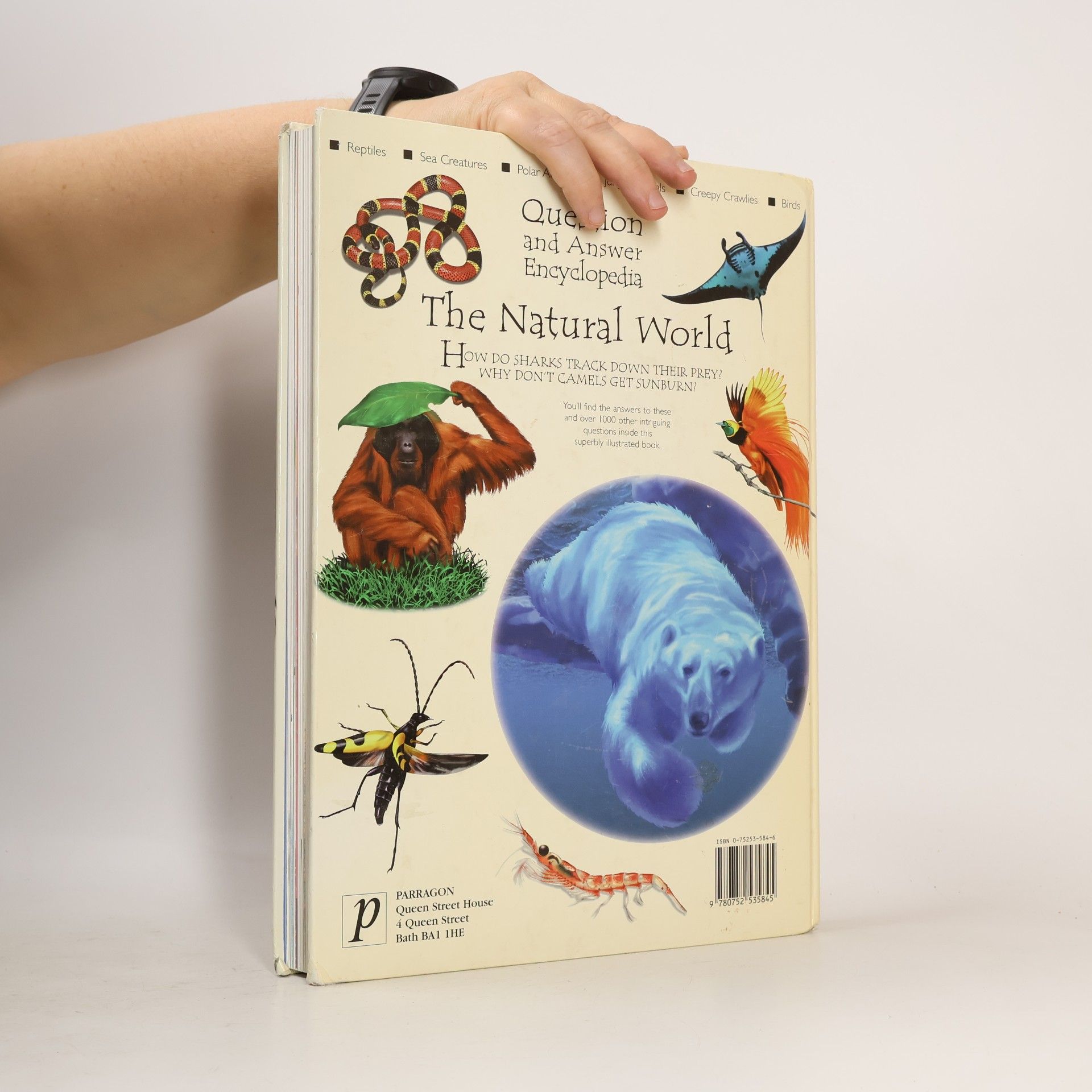 Anita Ganeri Question and Answer Encyclopedia: The Natural World