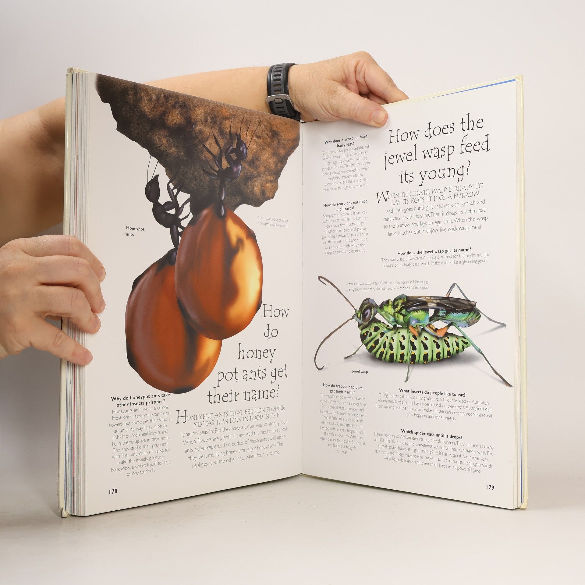 Anita Ganeri Question and Answer Encyclopedia: The Natural World