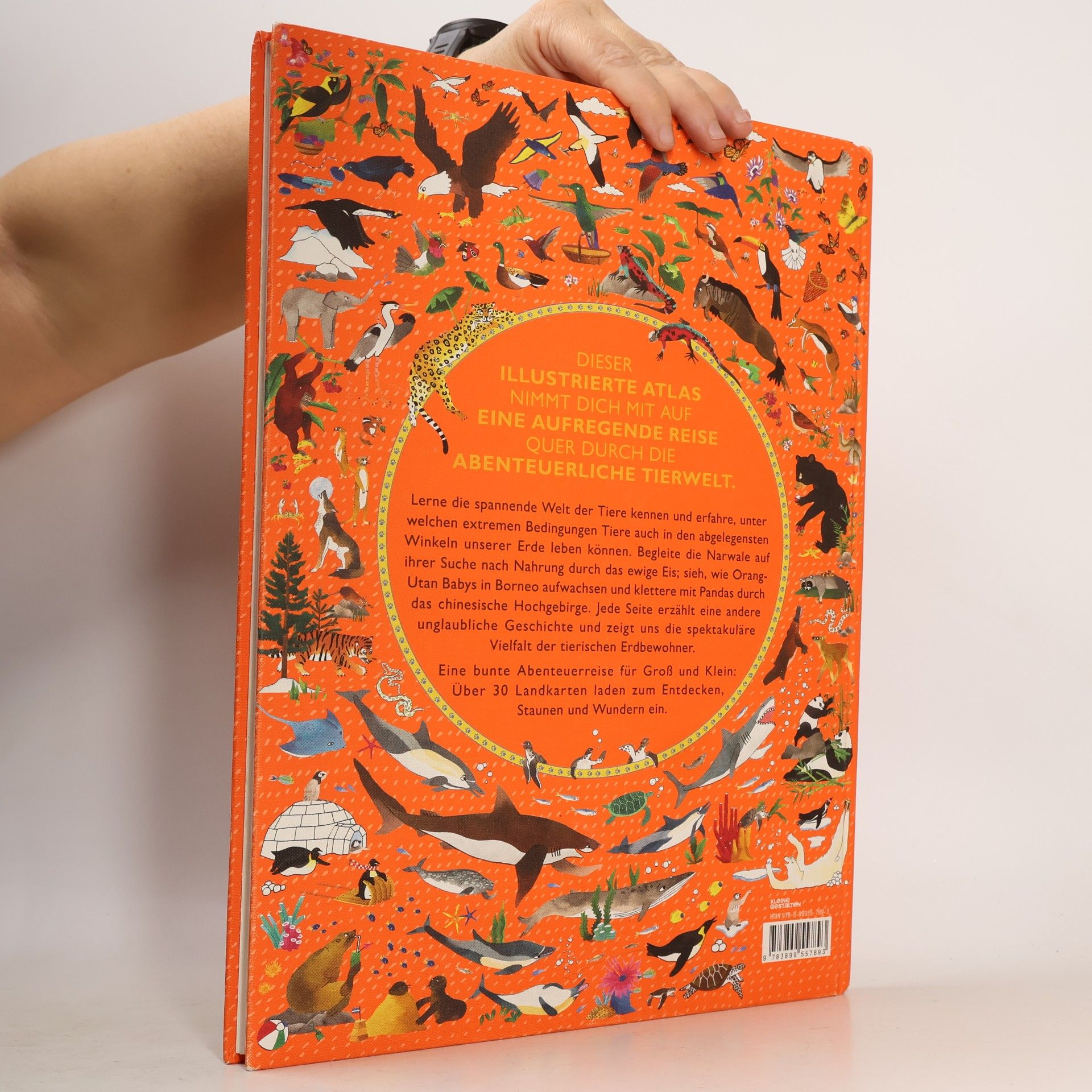 Rachel Williams Der große Atlas der Tiere