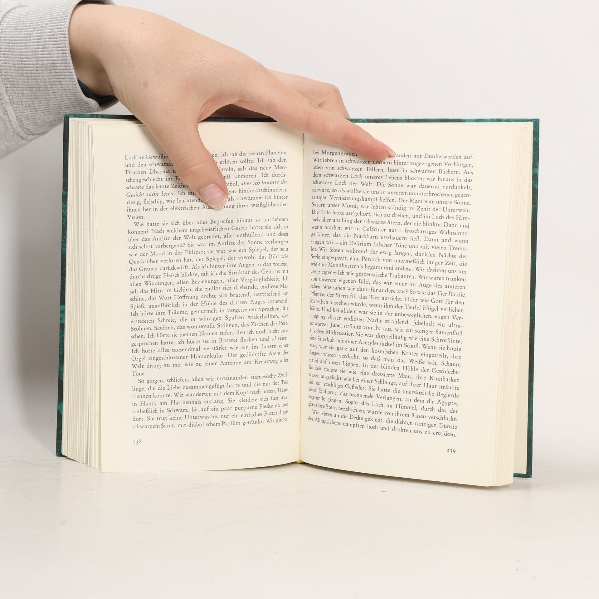 Henry Miller Wendekreis des Steinbocks