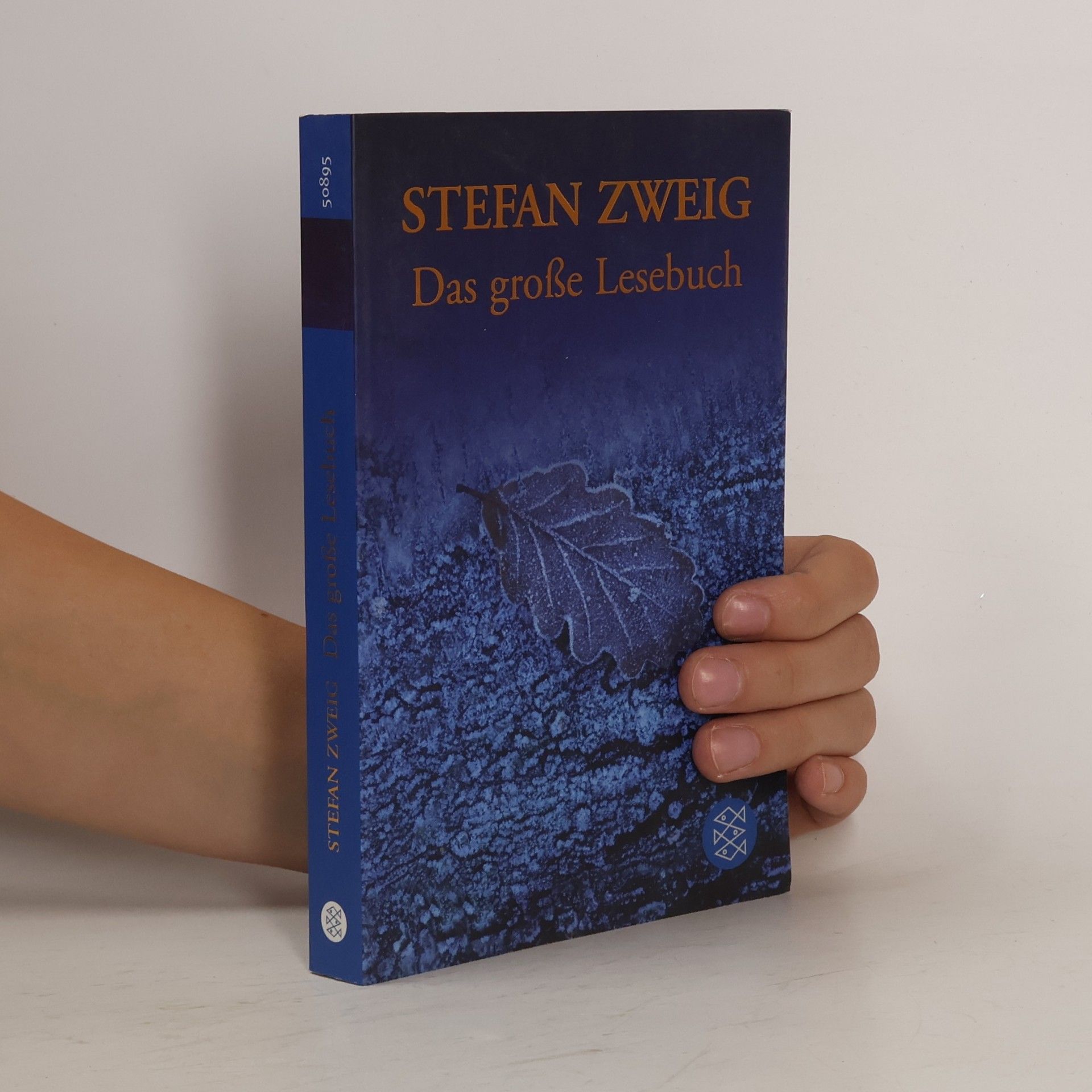 Stefan Zweig Das große Lesebuch