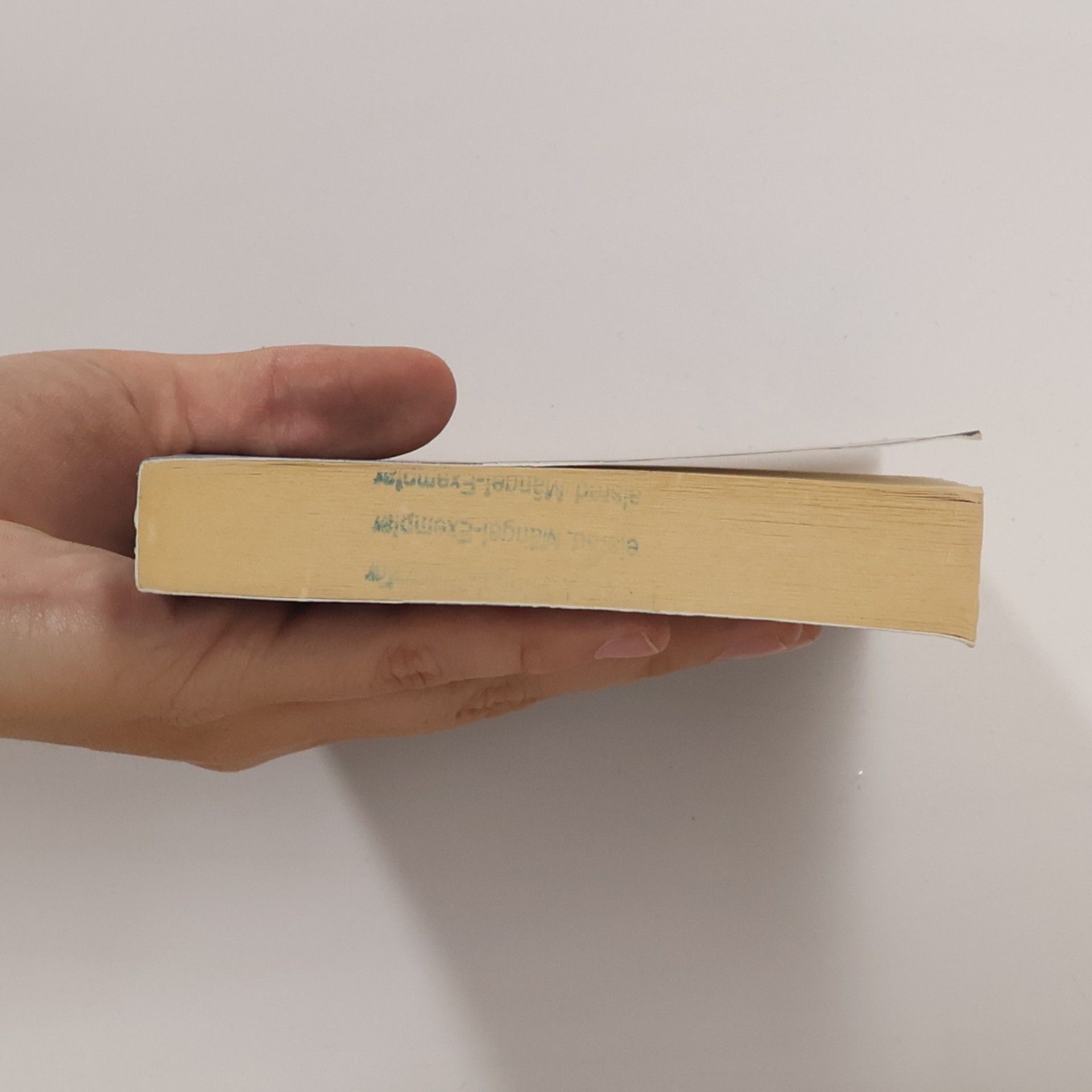 Stefan Zweig Das große Lesebuch