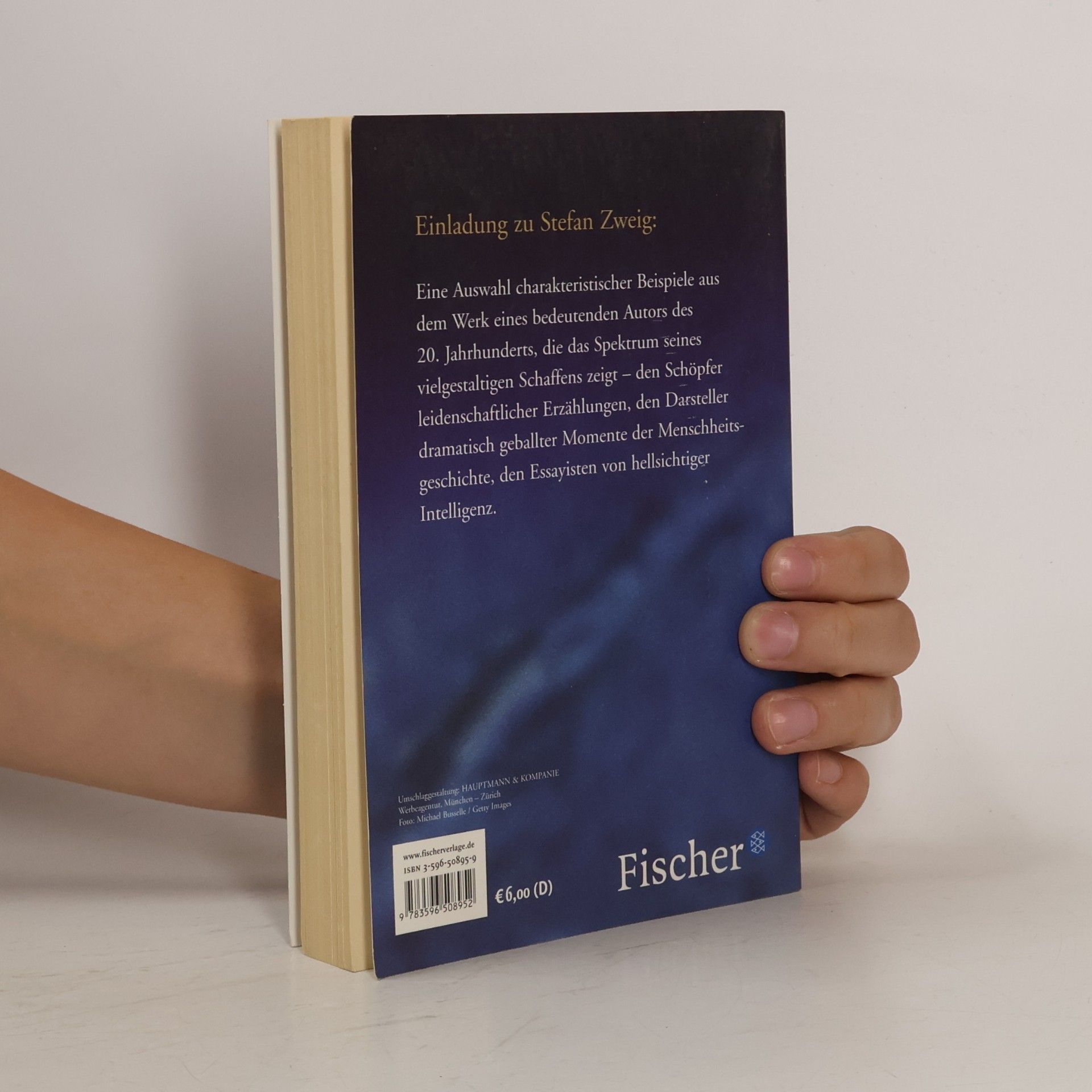 Stefan Zweig Das große Lesebuch
