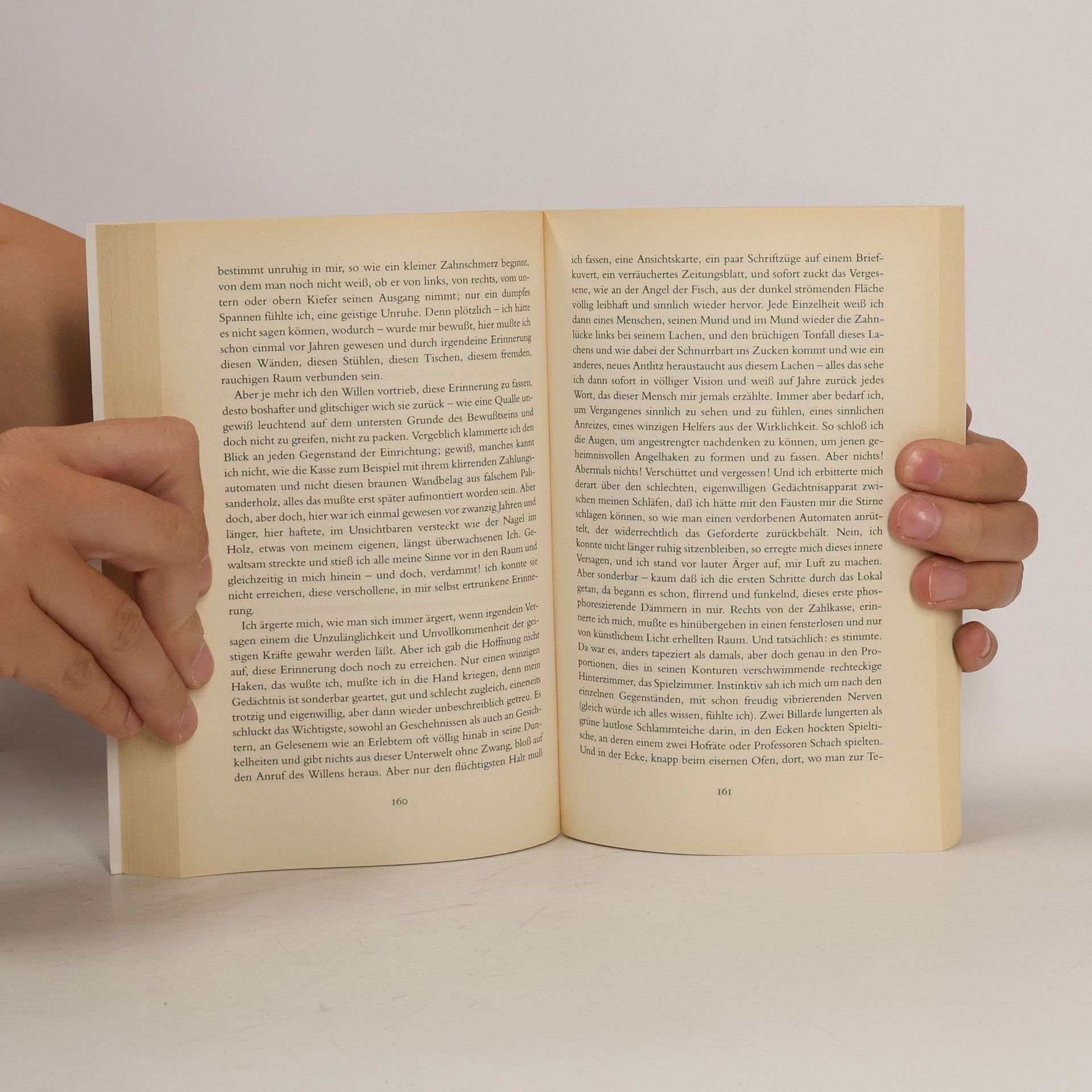 Stefan Zweig Das große Lesebuch
