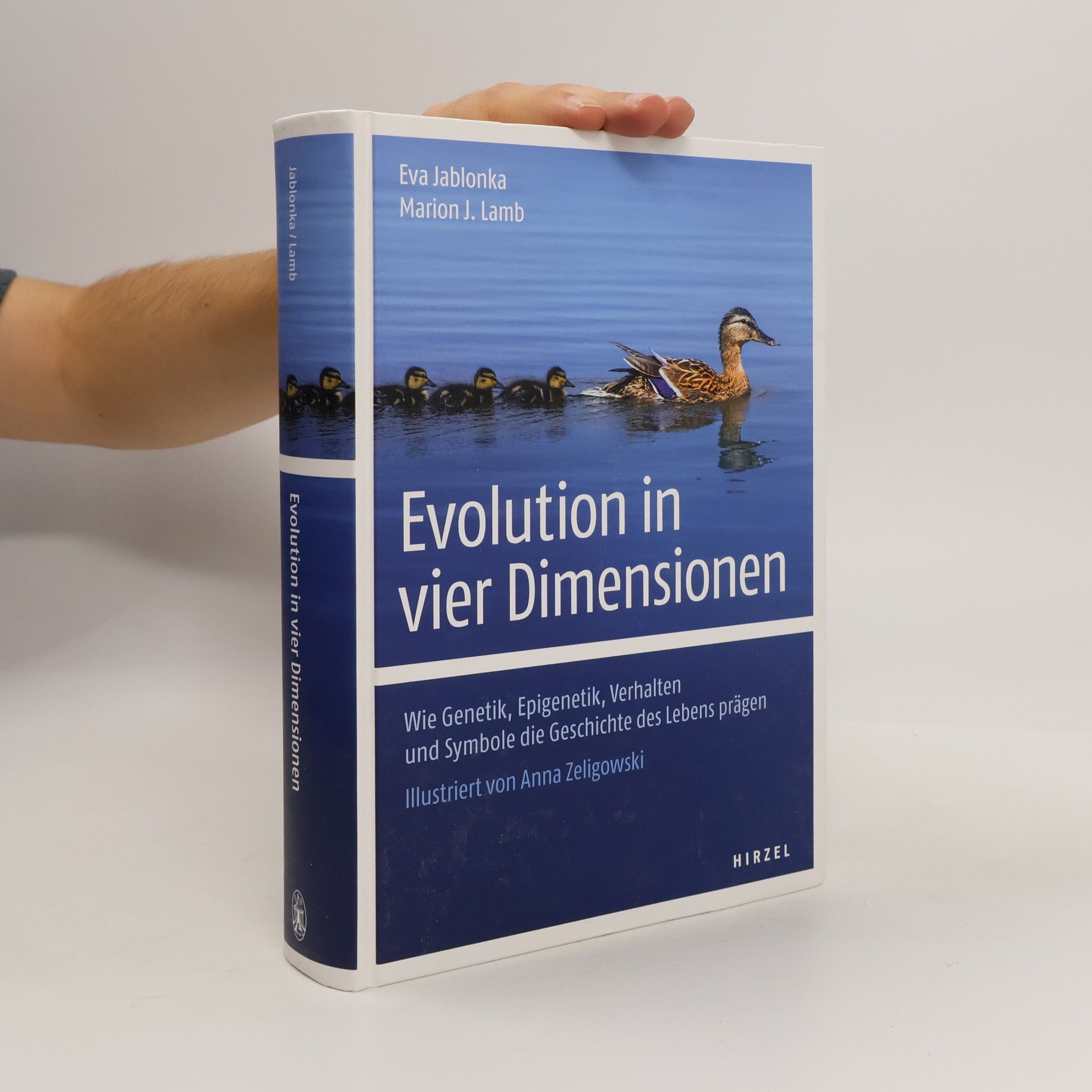 Marion J Lamb Evolution in vier Dimensionen