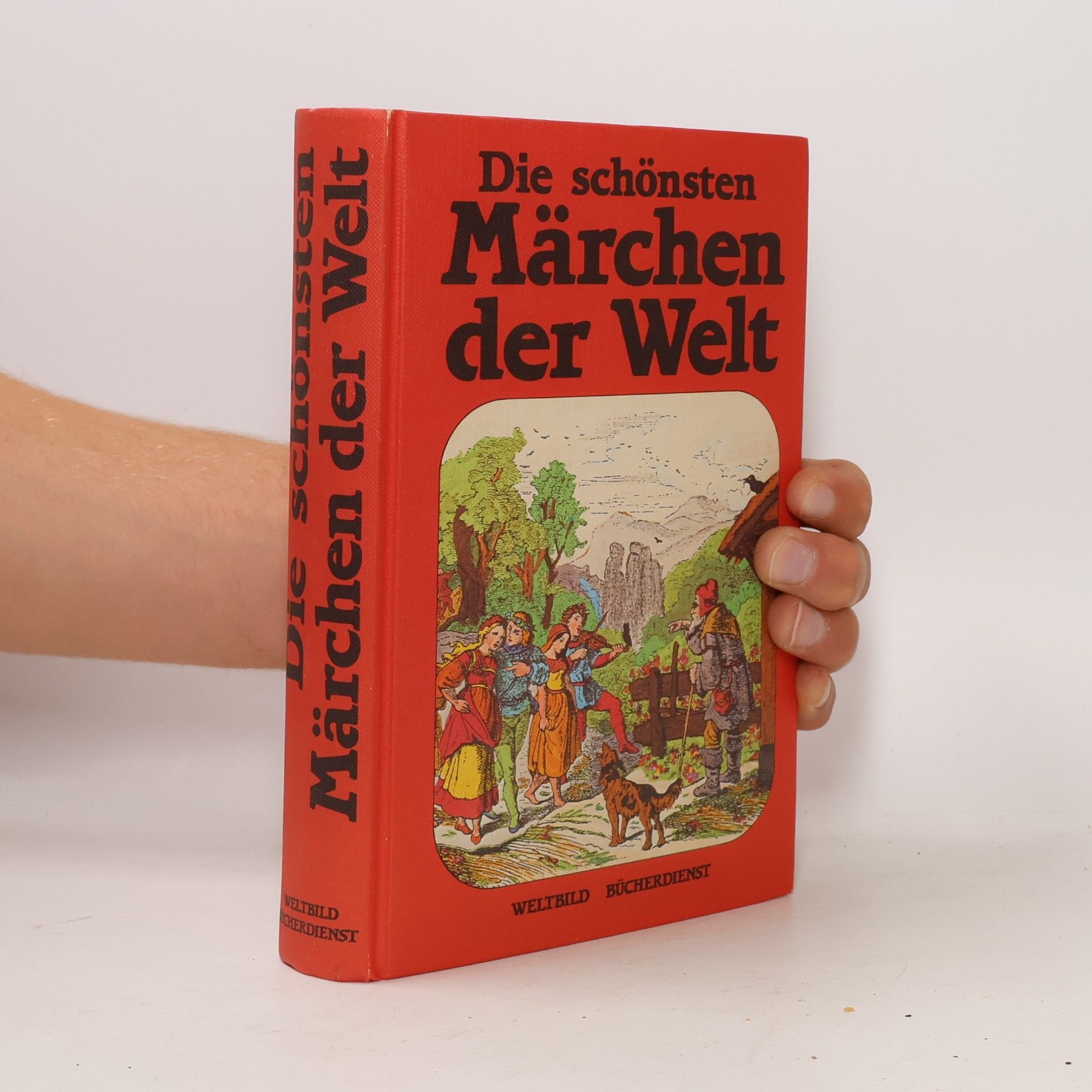 Kolektív autorov Die schönsten Märchen der Welt