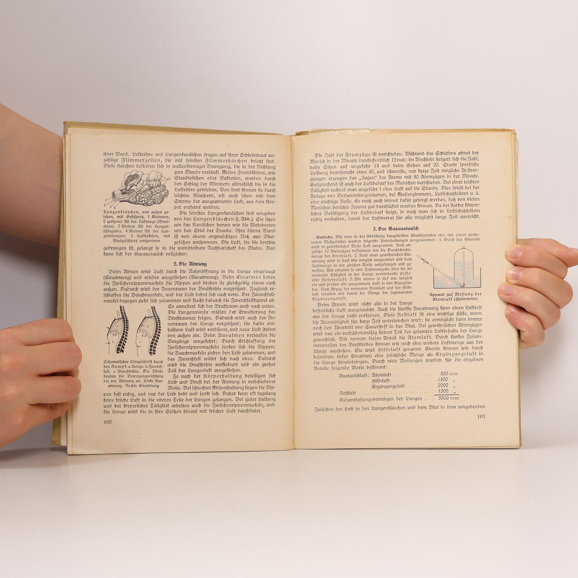 kolektiv Lehrbuch der Biologie für Oberschulen und Gymnasien 4